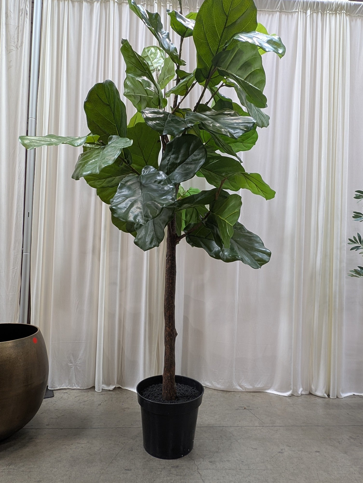 Faux Fiddle Leaf Fig Tree in Plastic Pot