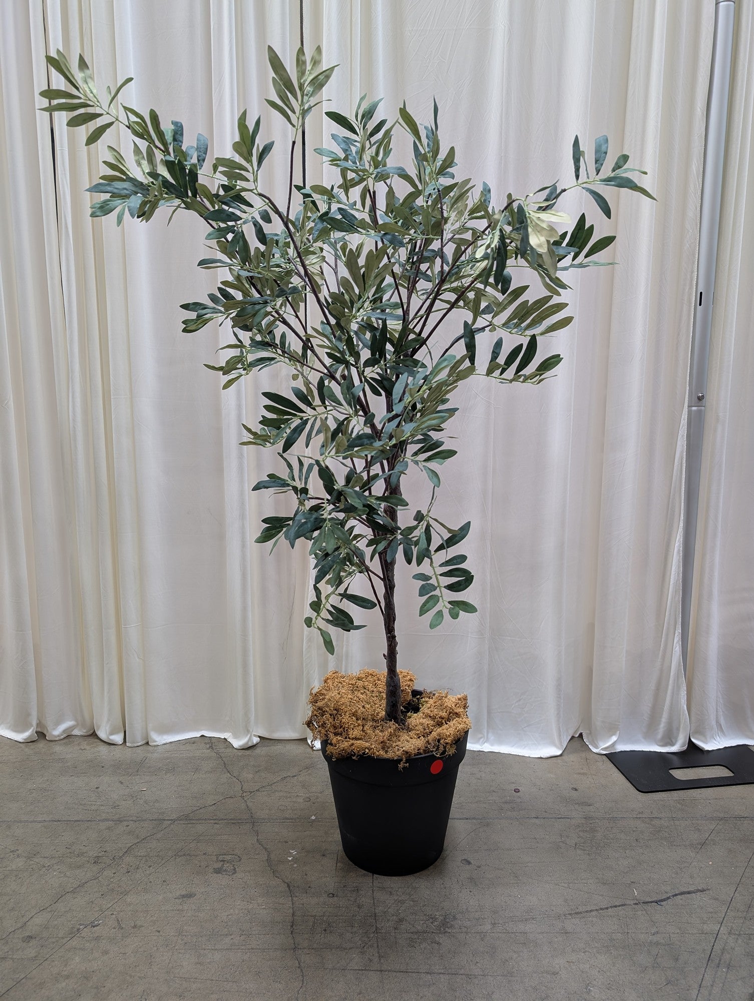 Green Artificial Olive Tree in Black Pot