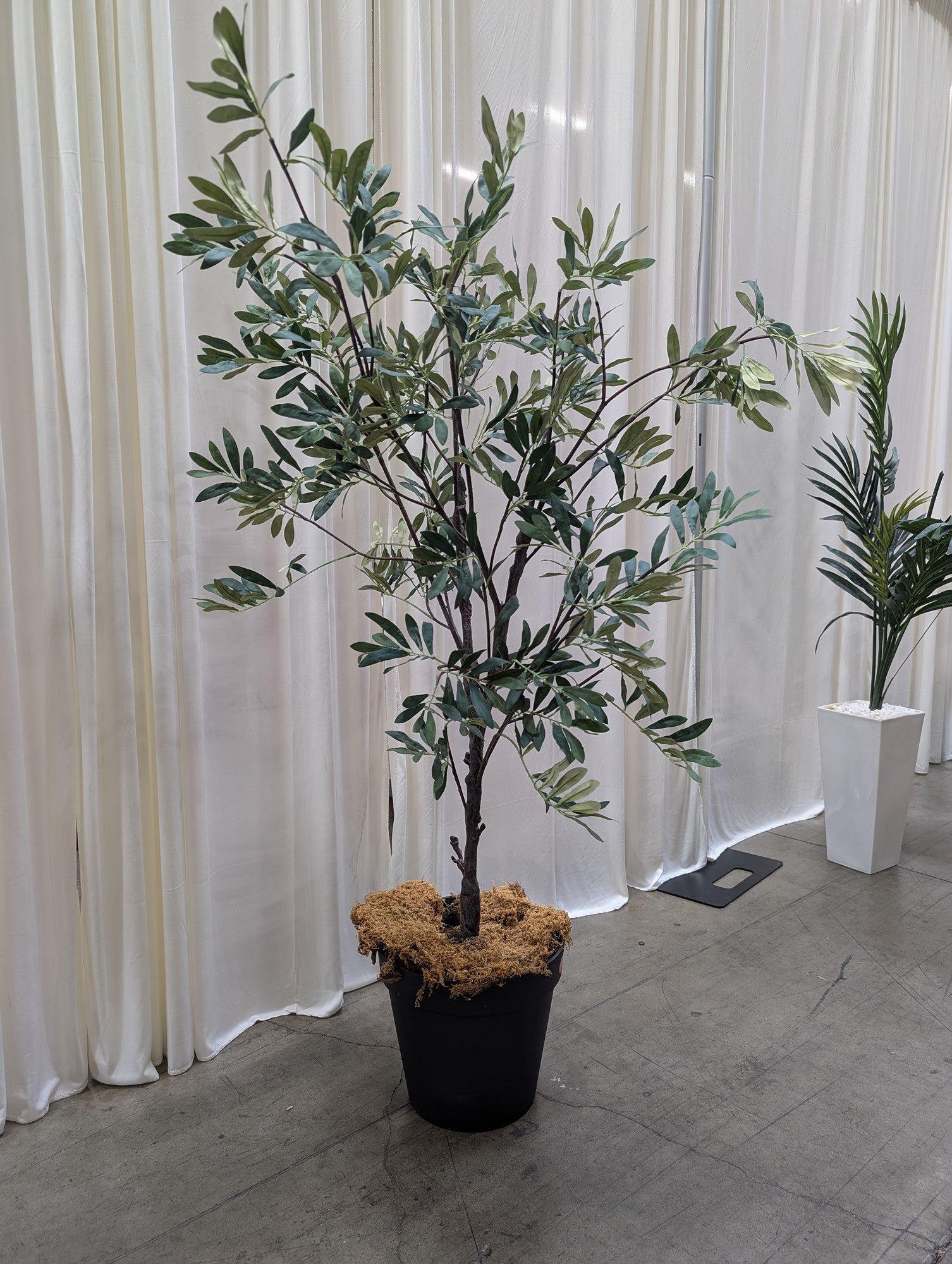 Green Artificial Olive Tree in Black Pot