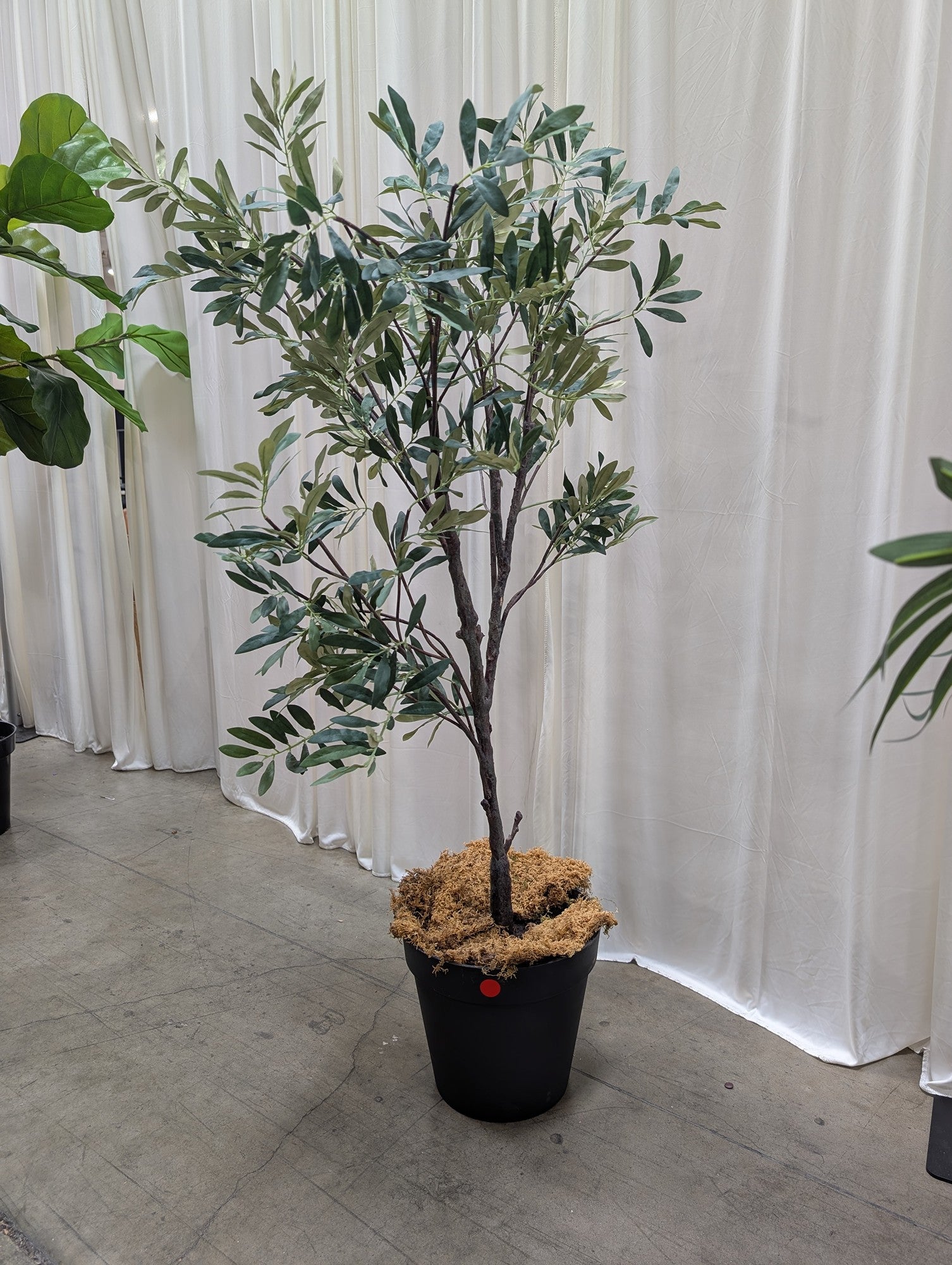 Green Artificial Olive Tree in Black Pot