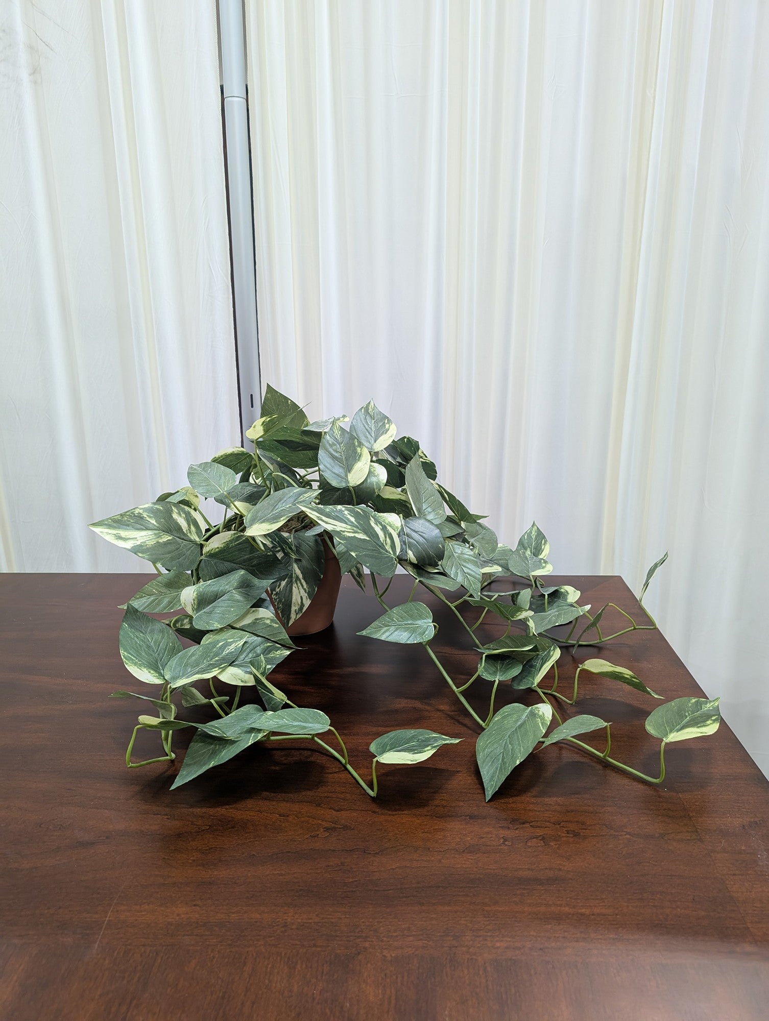 Variegated Green Artificial Pothos Plant in Pot