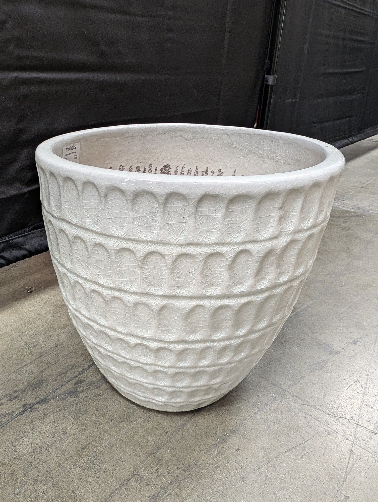 Molbak's Textured Ceramic Planter in Cream