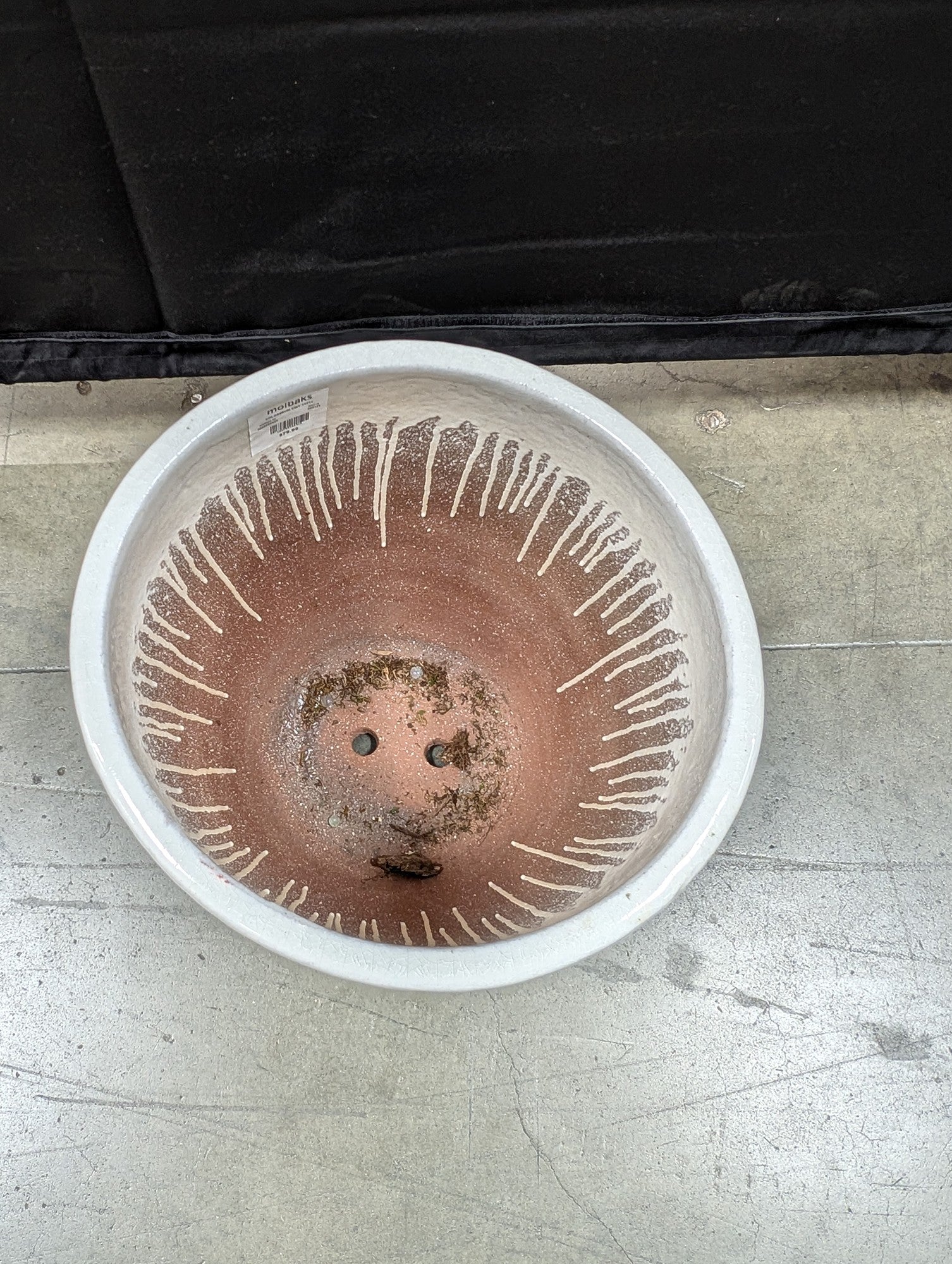 Molbak's Textured Ceramic Planter in Cream