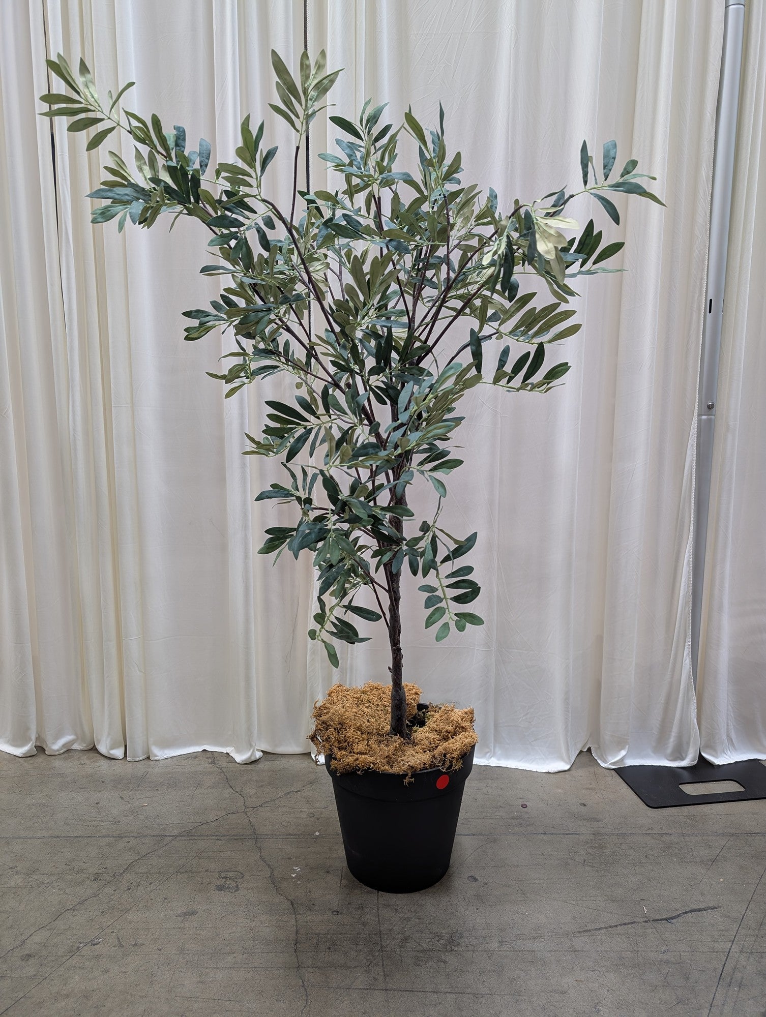 Green Artificial Olive Tree in Black Pot