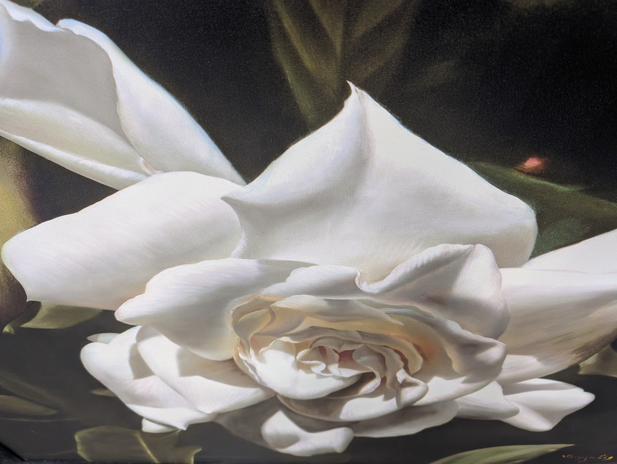Vangelis Gardenia Limited Edition Giclée Art Print