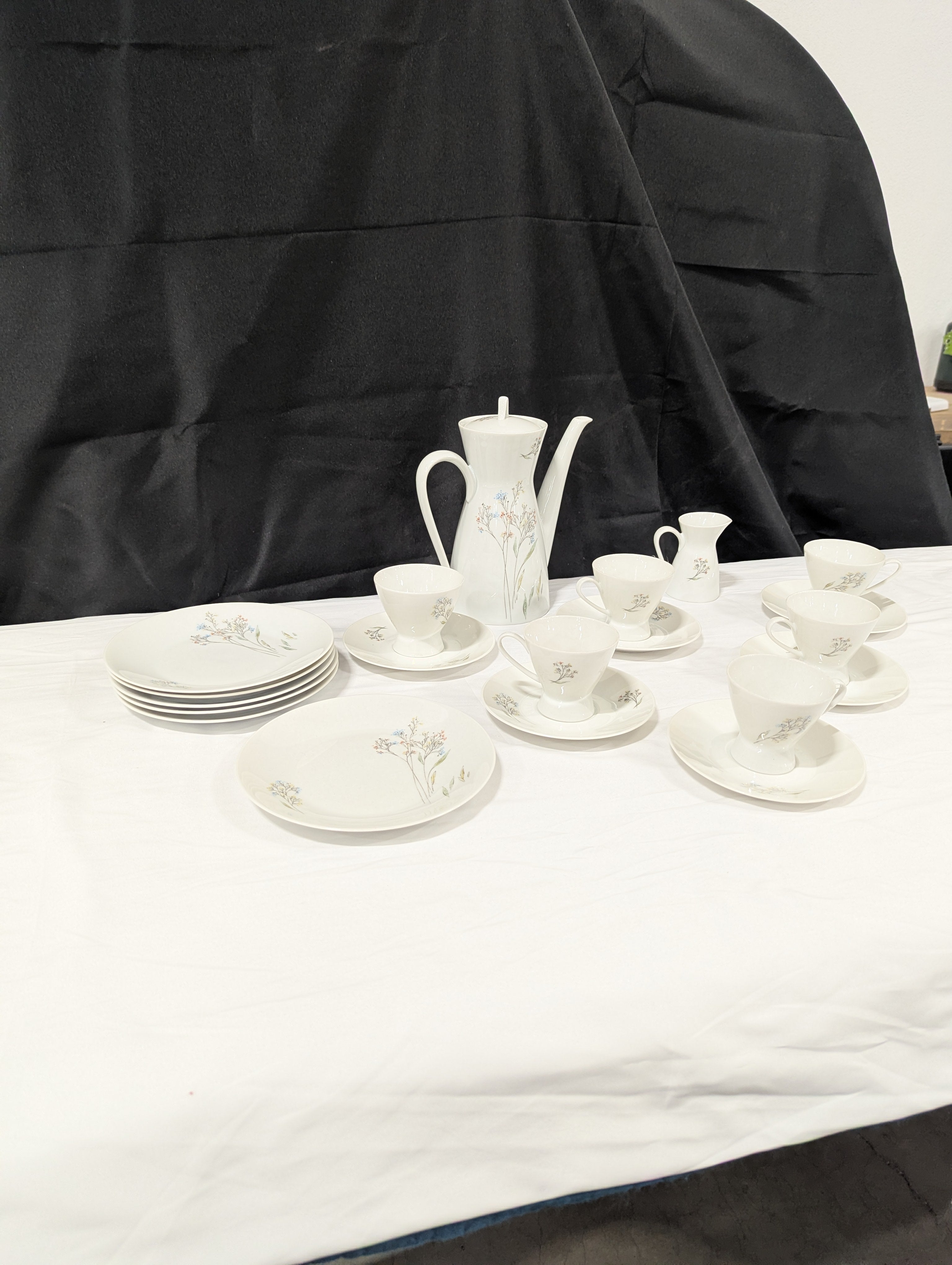 Rosenthal Germany Floral Porcelain Coffee Tea Dinnerware Set