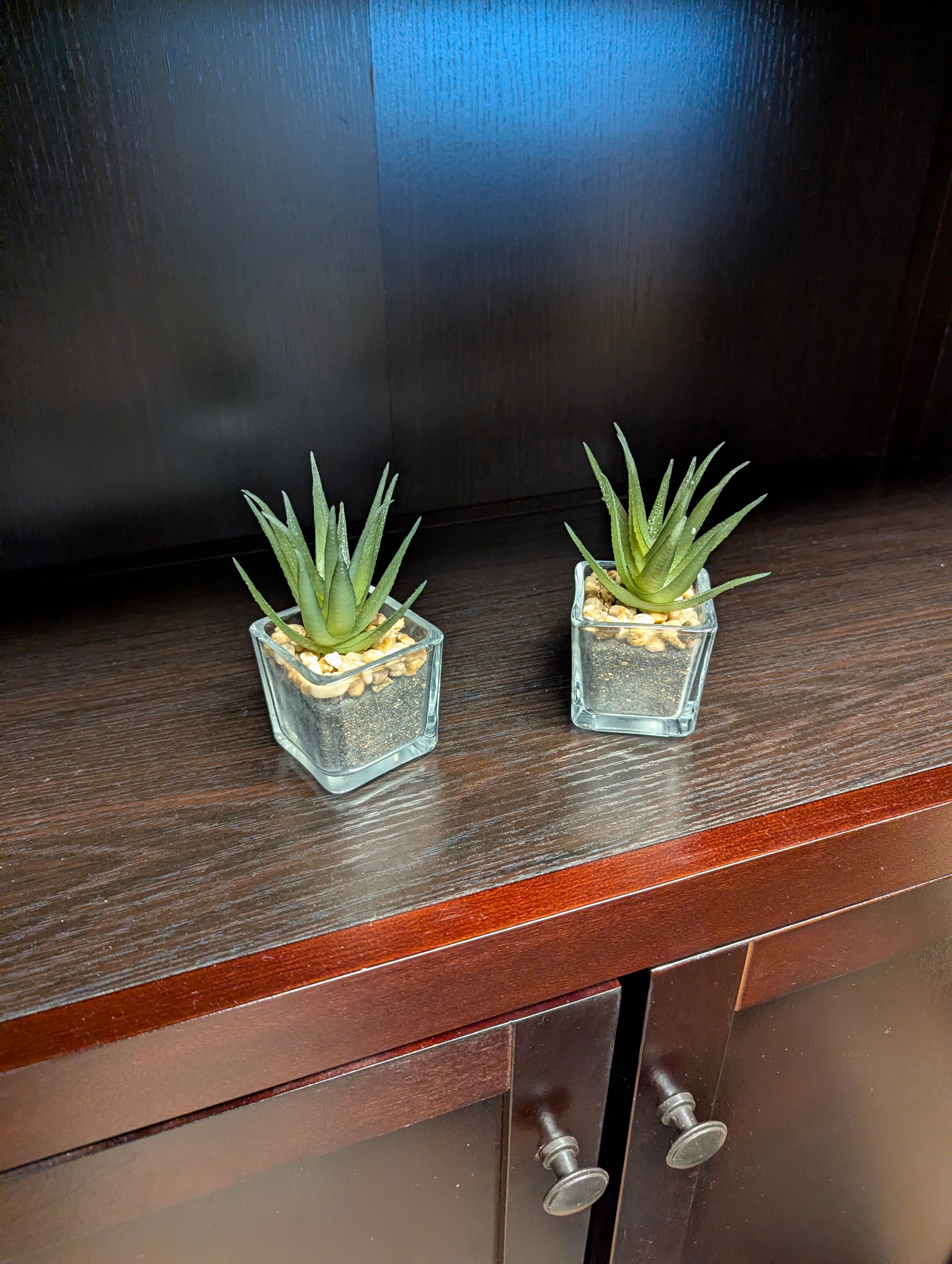 Artificial Succulent Plant in Square Glass Pots