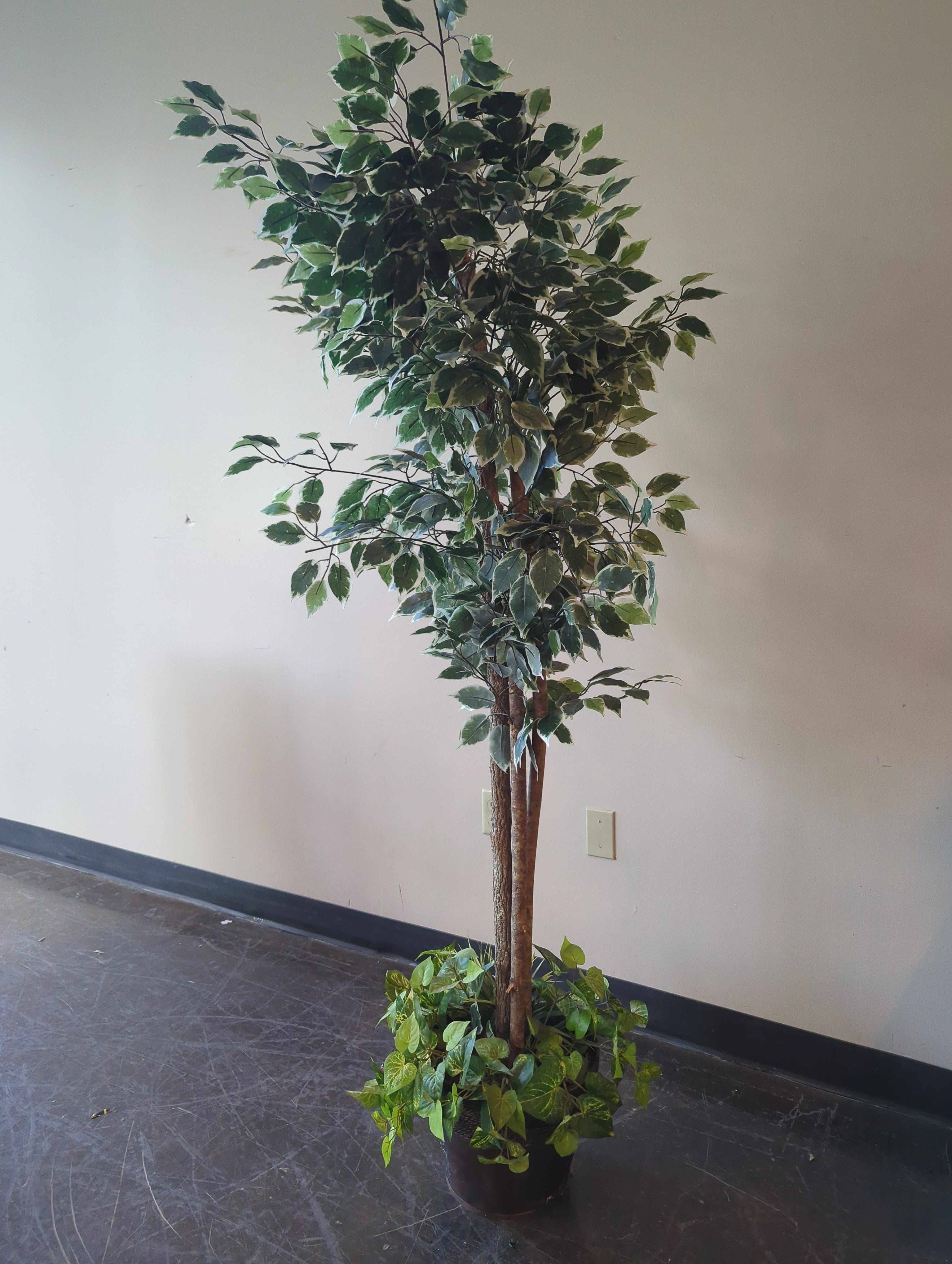 Artificial Ficus Tall Floor Plant