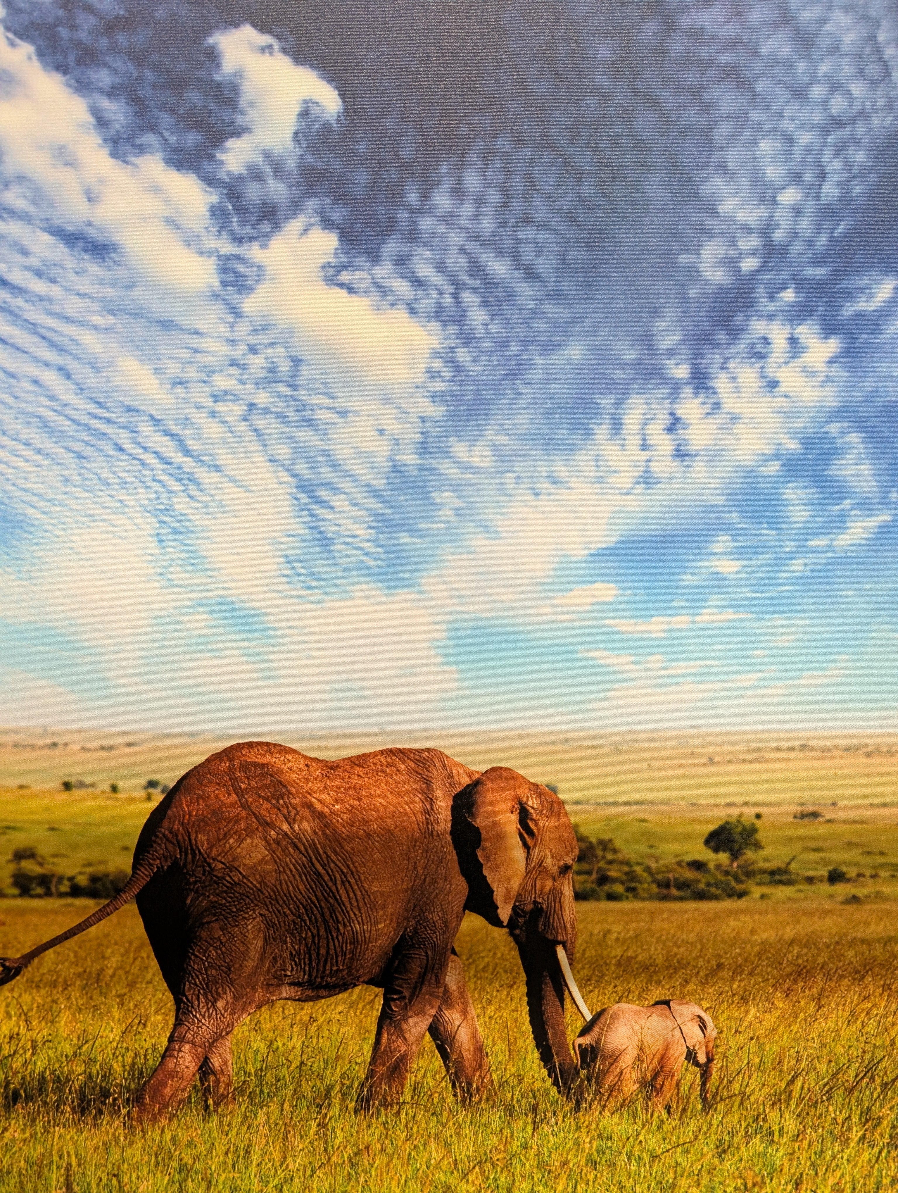 African Elephant Savanna Canvas Art | Amboseli National Park