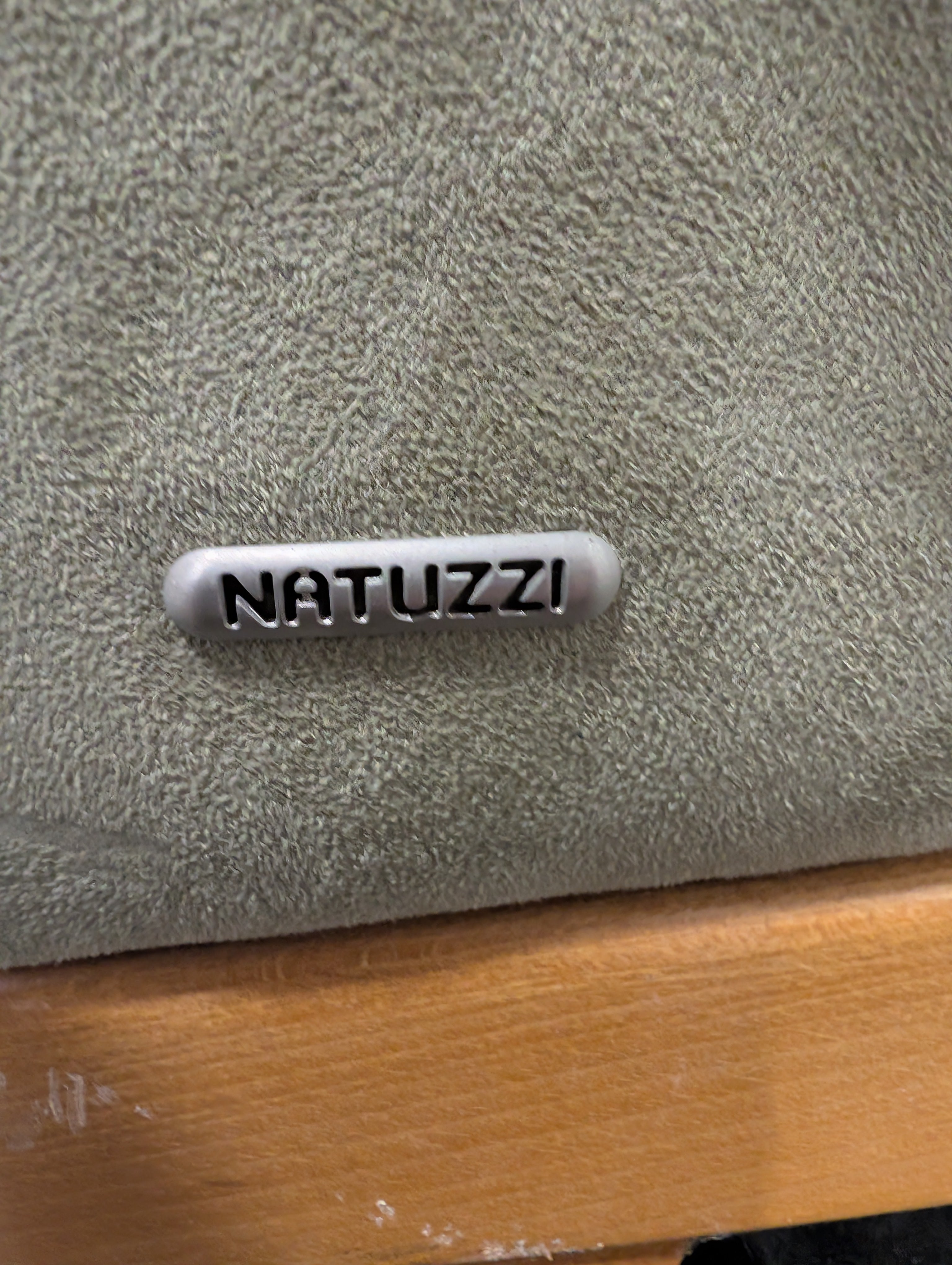 NATUZZI Sage Green Upholstered Couch with Matching Ottoman