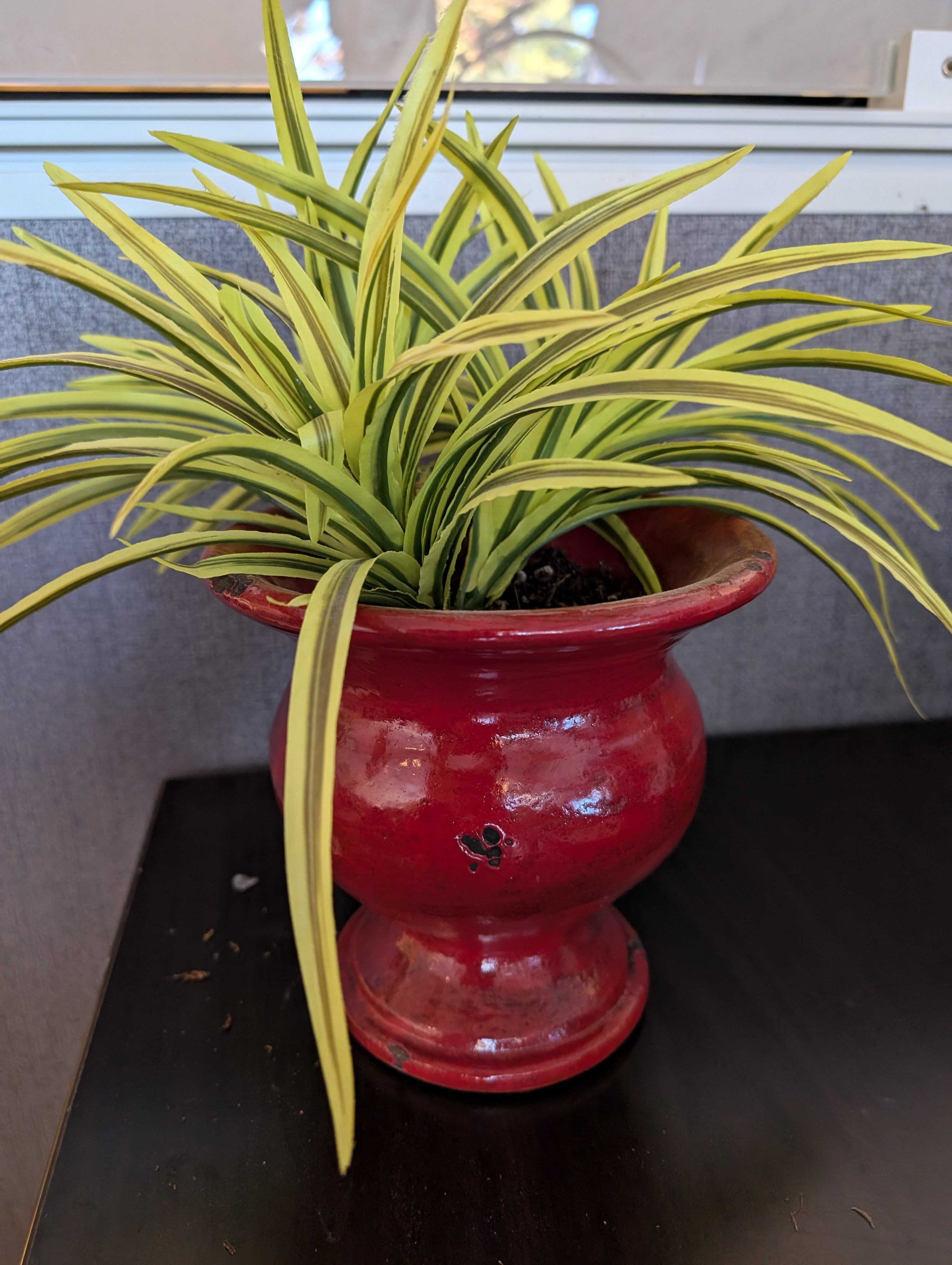 Vibrant Faux Variegated Plant in Red Decorative Pot