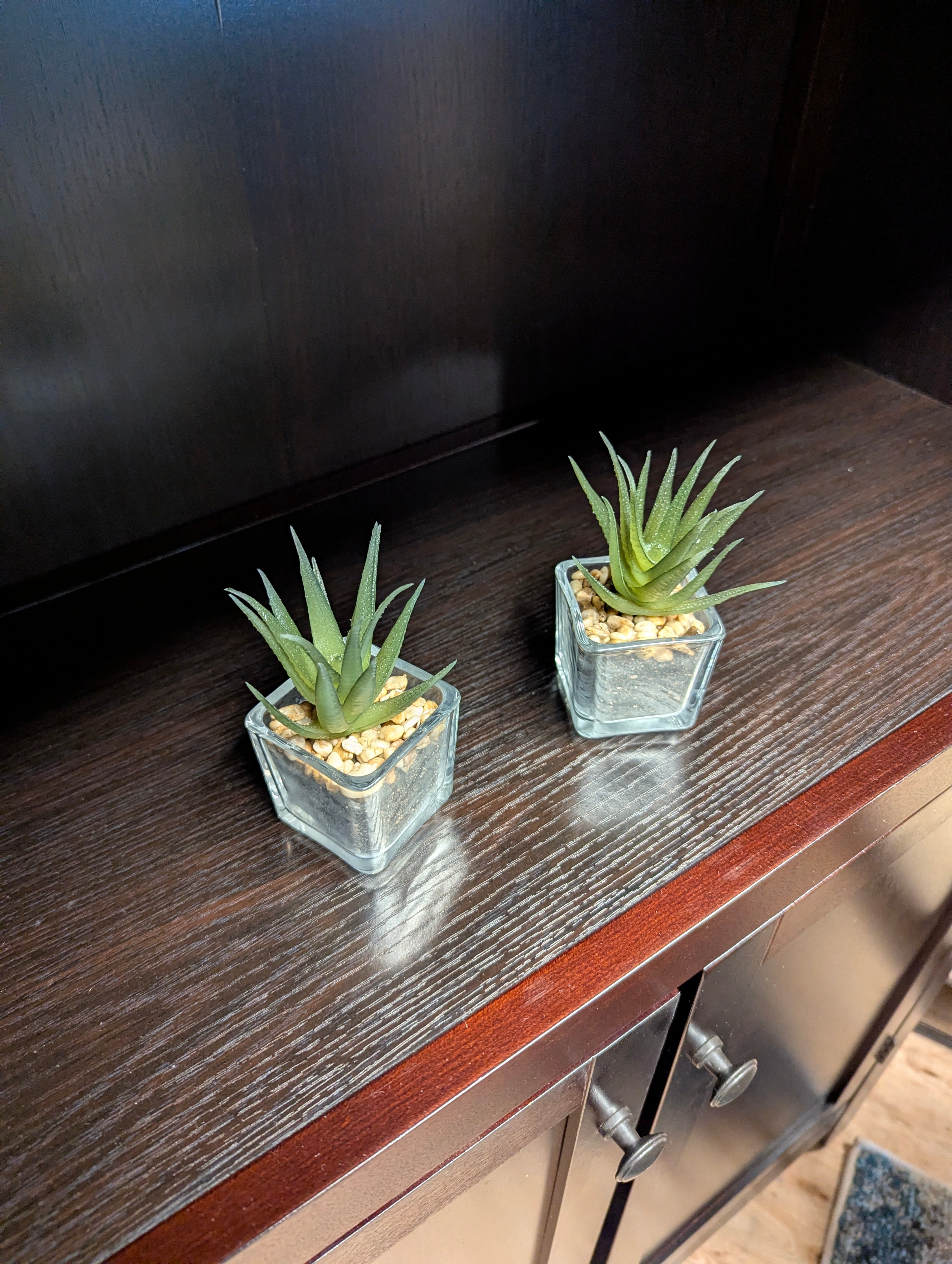 Artificial Succulent Plant in Square Glass Pots