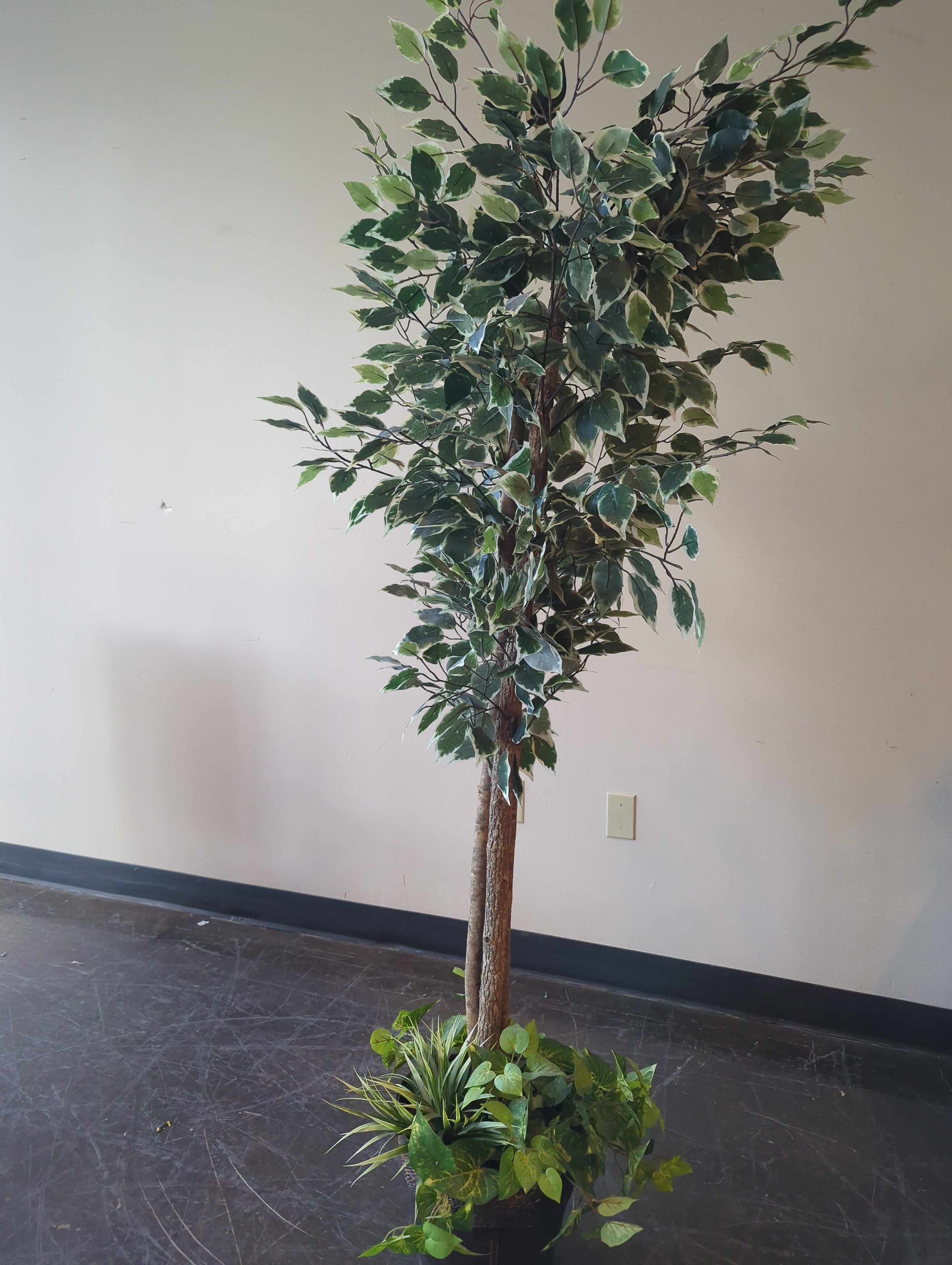 Artificial Ficus Tall Floor Plant