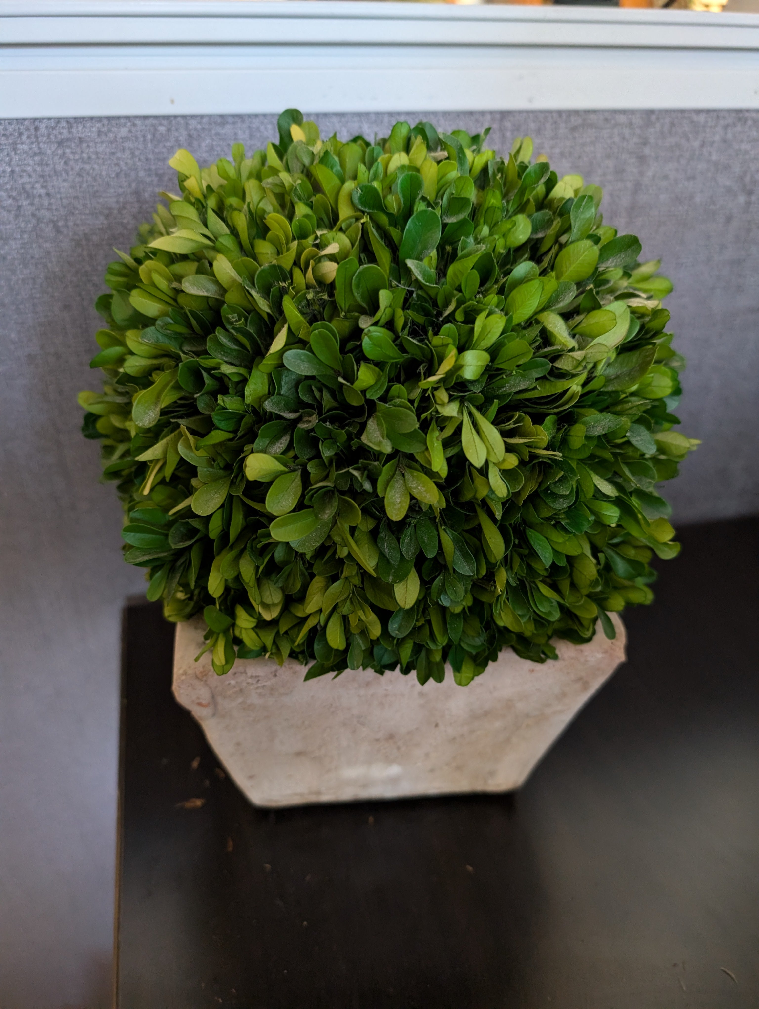 Faux Boxwood Topiary Ball in Square Stone Pot