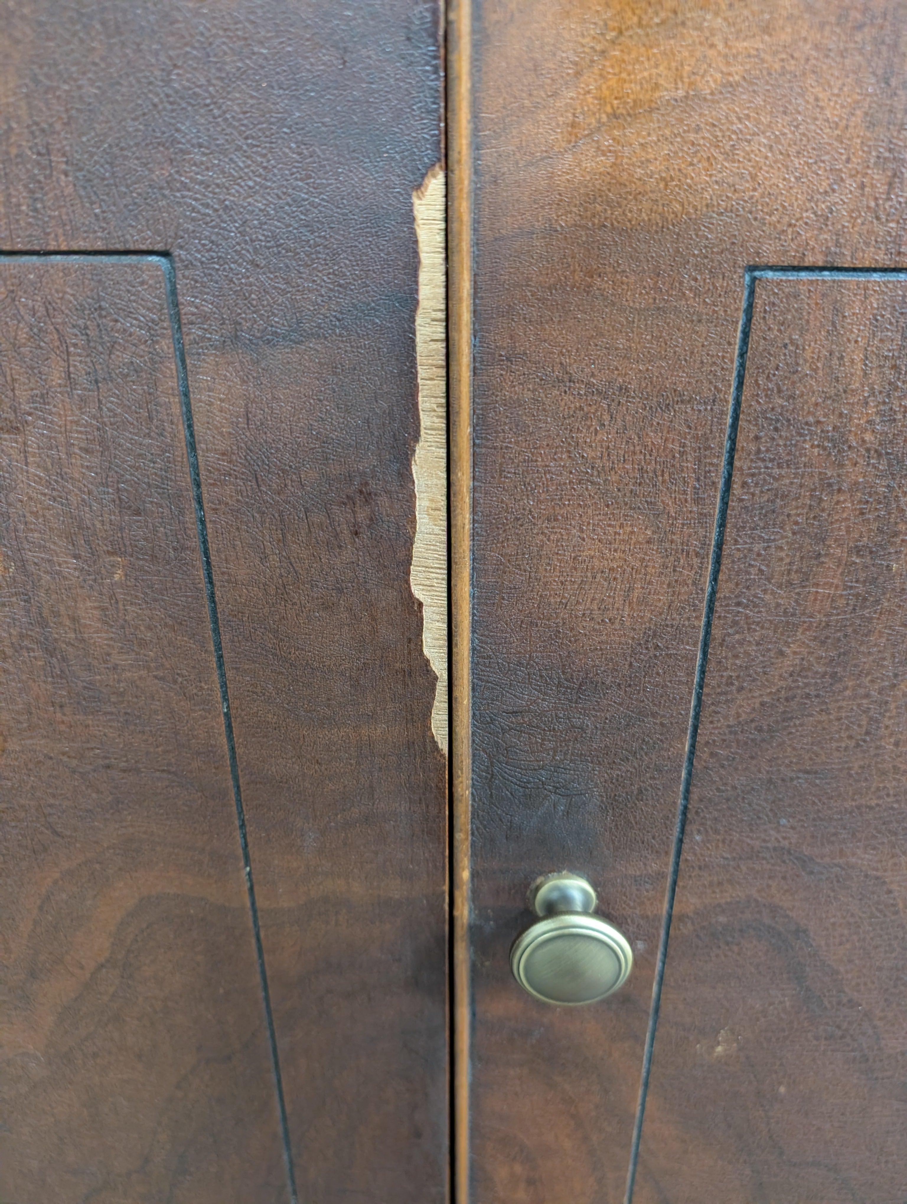 Vintage Dark Wood Storage Cabinet with Two Doors and Two Drawers