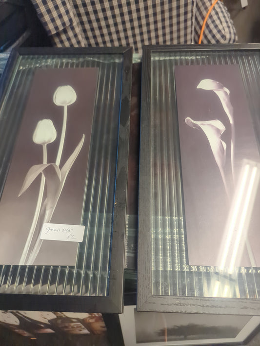 Framed Flowers on glass (SET OF 2)