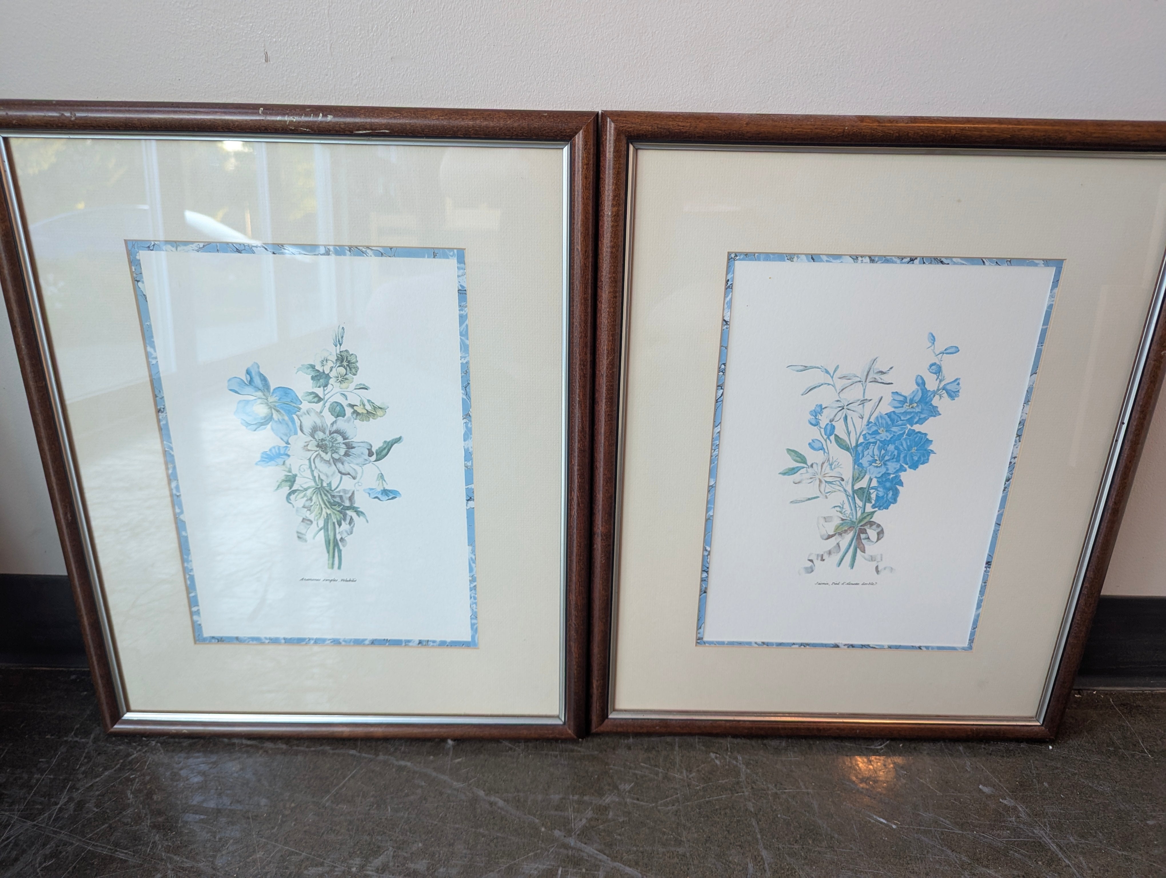 Pair of Framed Botanical Blue Flower Prints