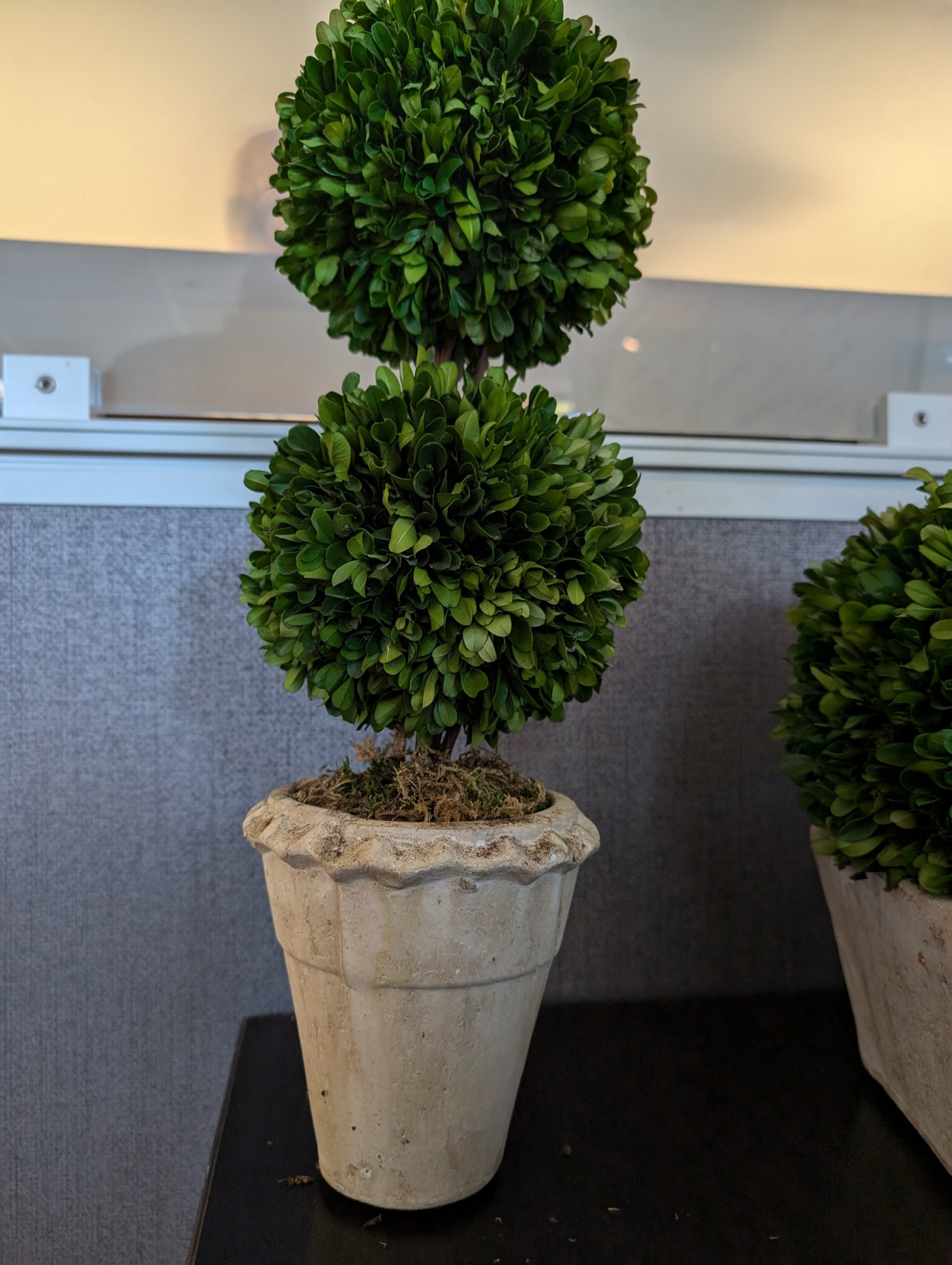 Decorative Faux Boxwood Topiary Plant