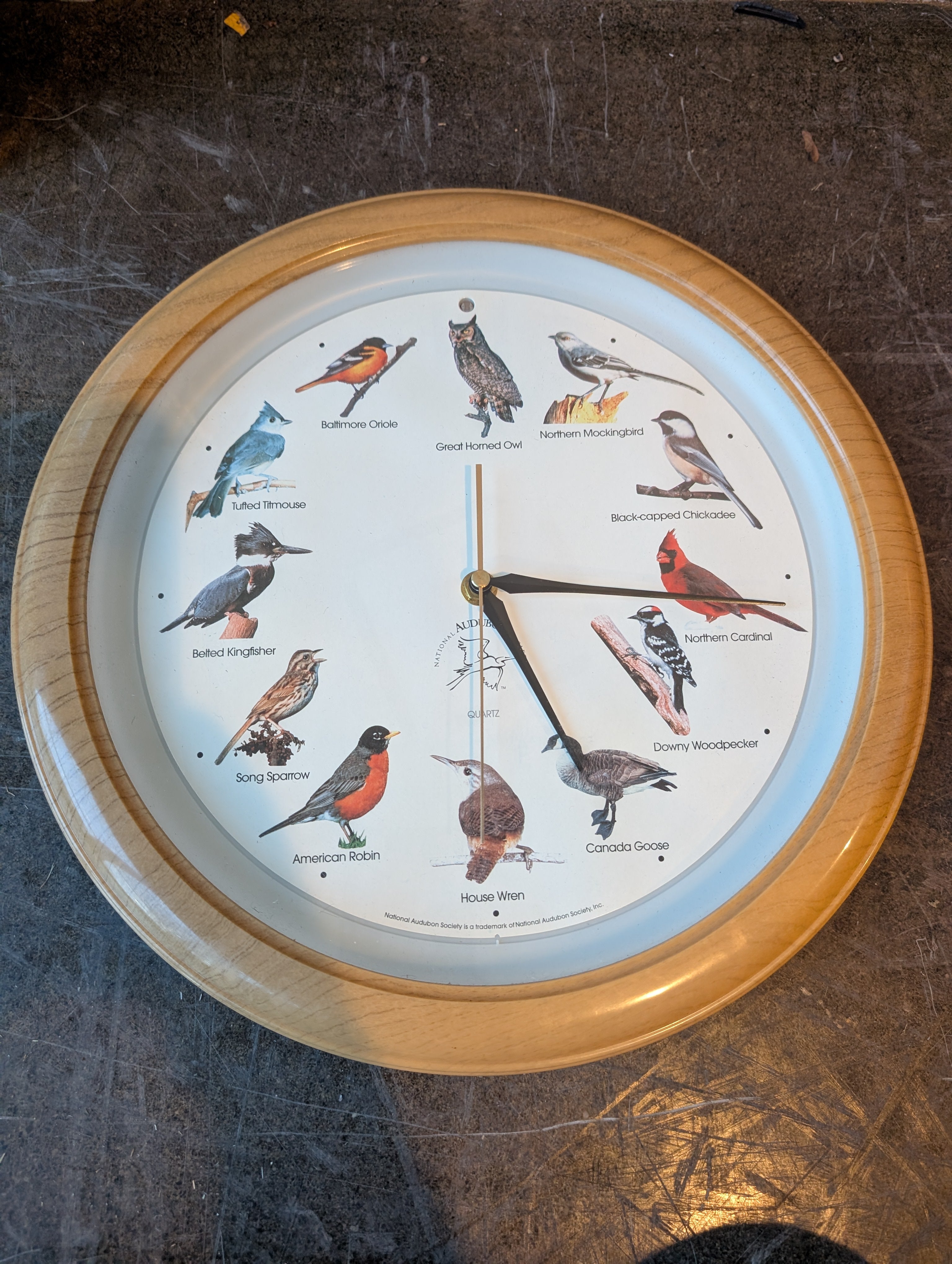 Audubon Society Bird Species Wood-Grain Quartz Wall Clock