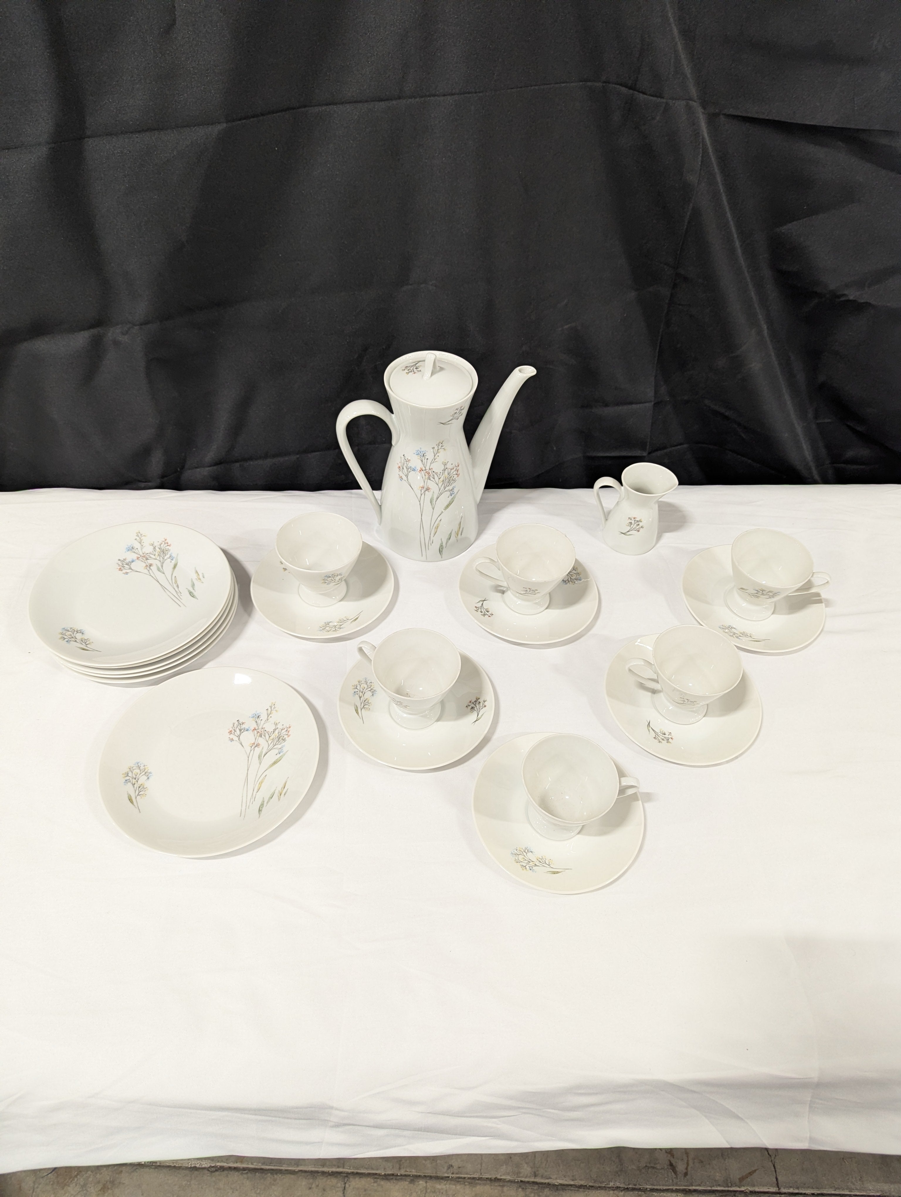 Rosenthal Germany Floral Porcelain Coffee Tea Dinnerware Set