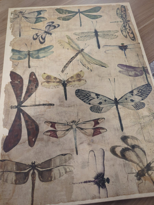 Dragon fly canvas art
