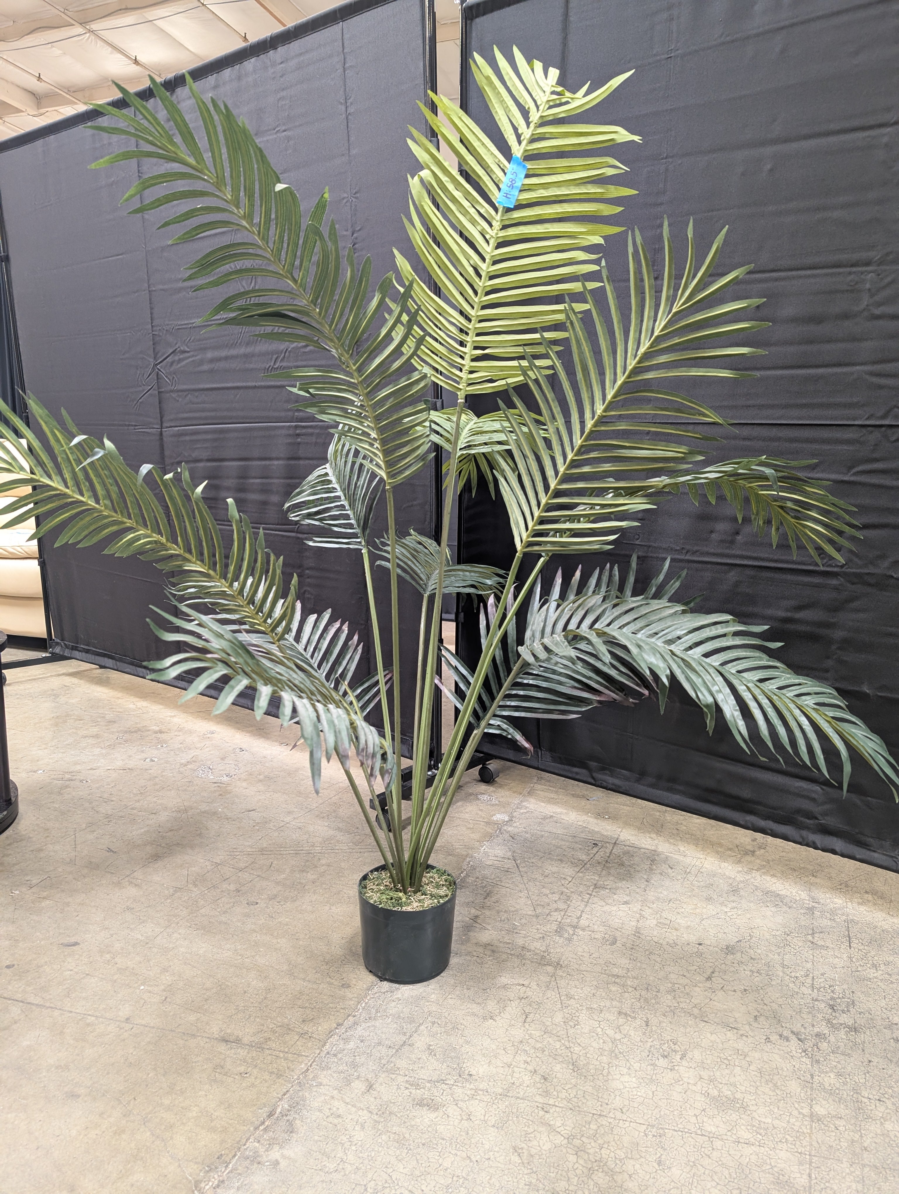 Faux Plant in Black Pot