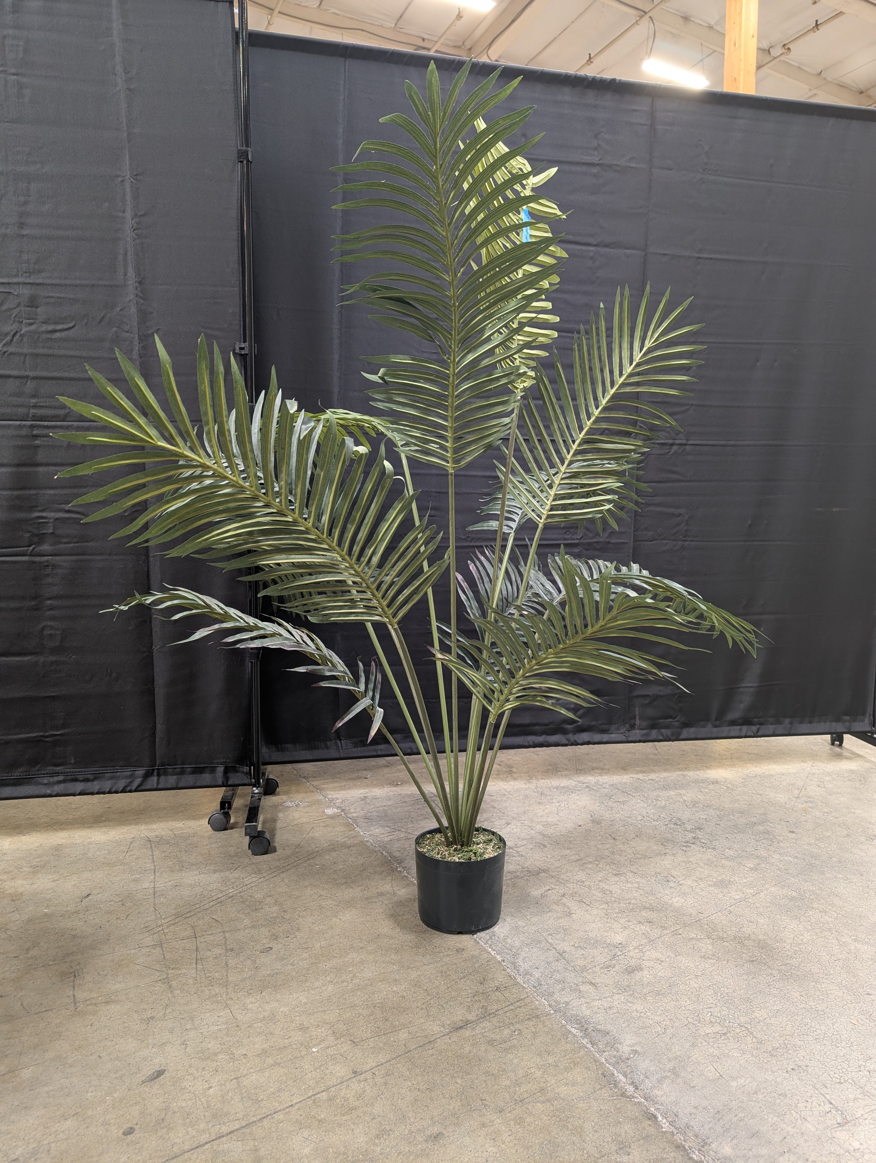 Faux Plant in Black Pot