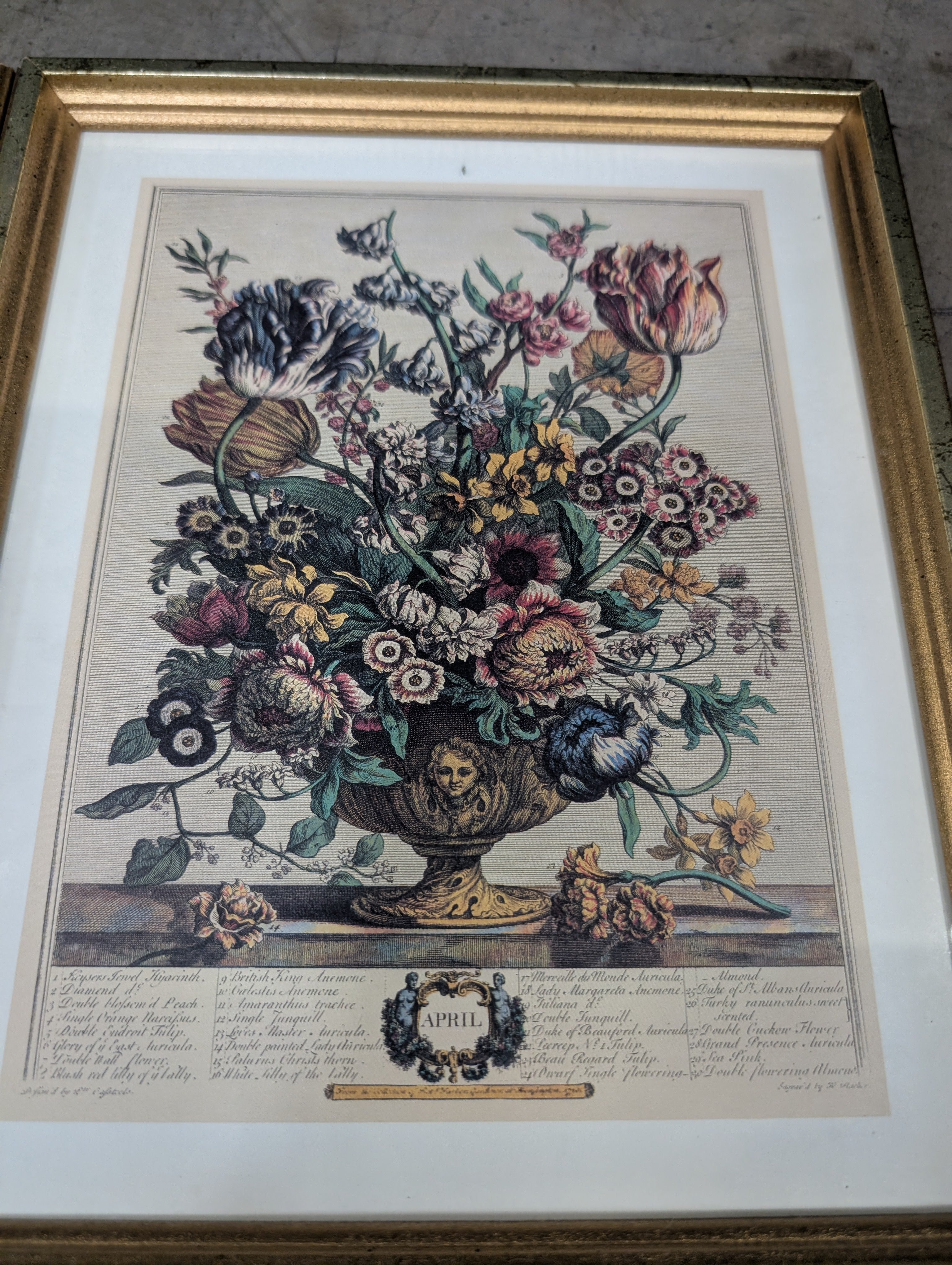 Set of four Vintage Floral Botanical Framed Art in Gold