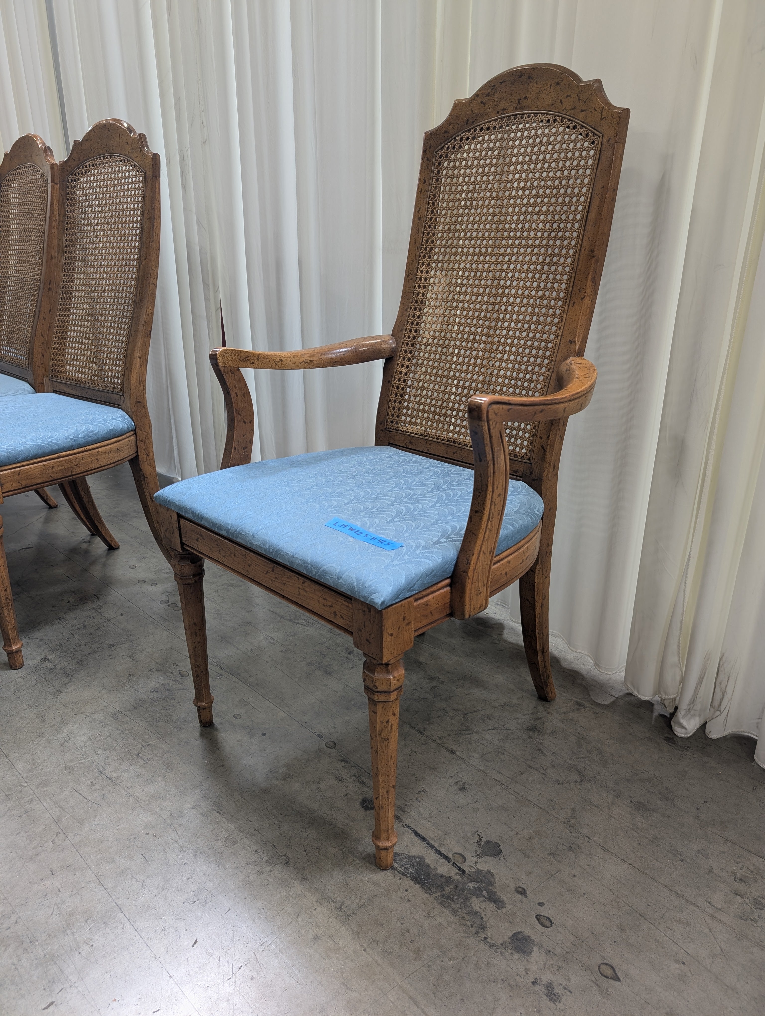 Vintage Cane Back Dining Arm Chair