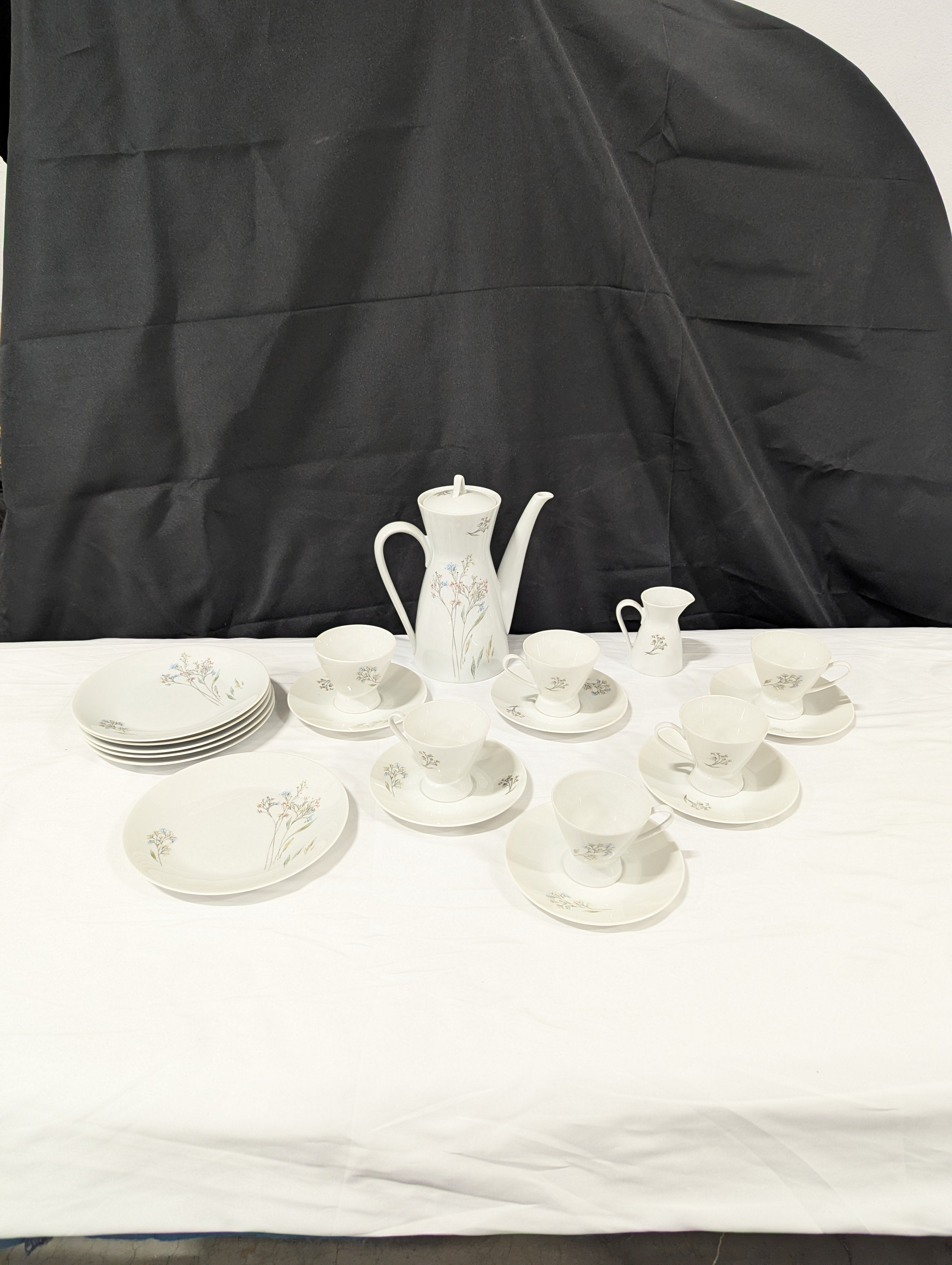 Rosenthal Germany Floral Porcelain Coffee Tea Dinnerware Set