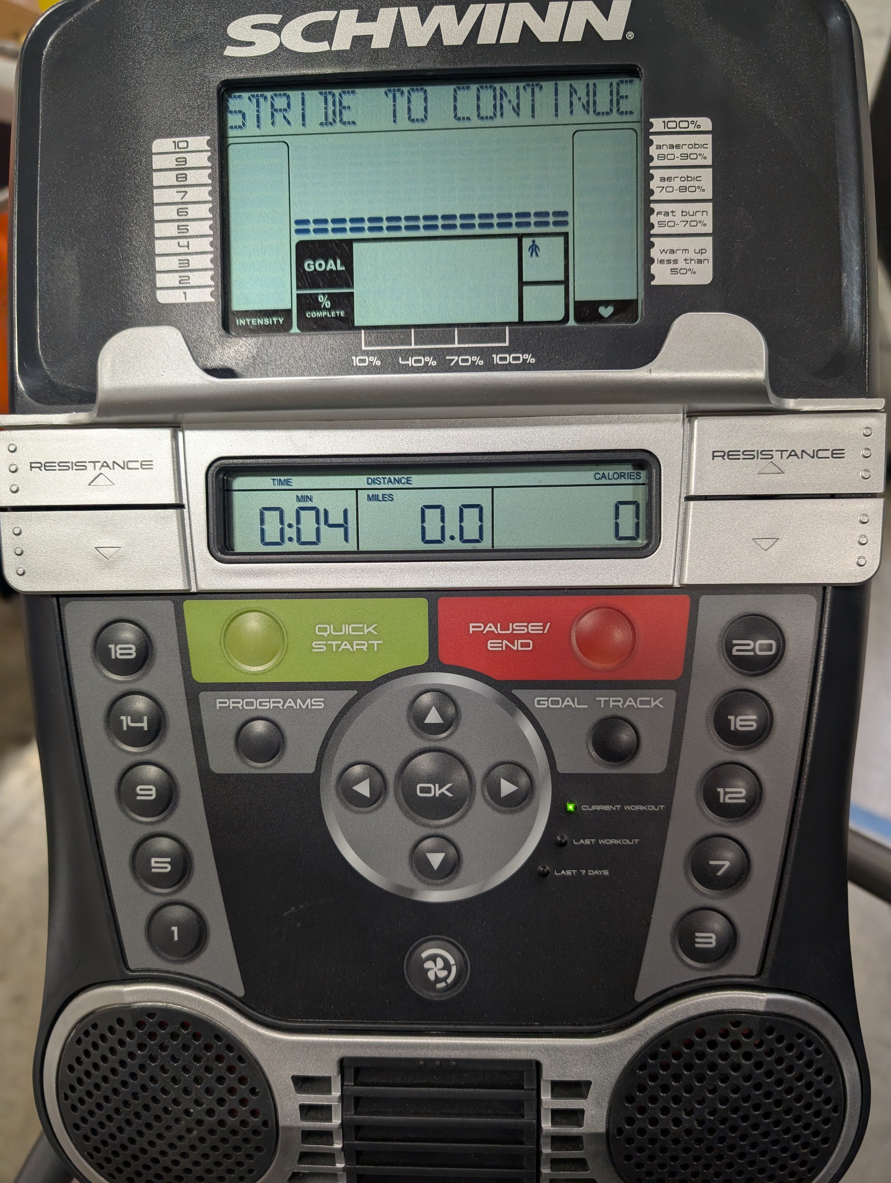 Schwinn 430 Precision Path Elliptical Trainer
