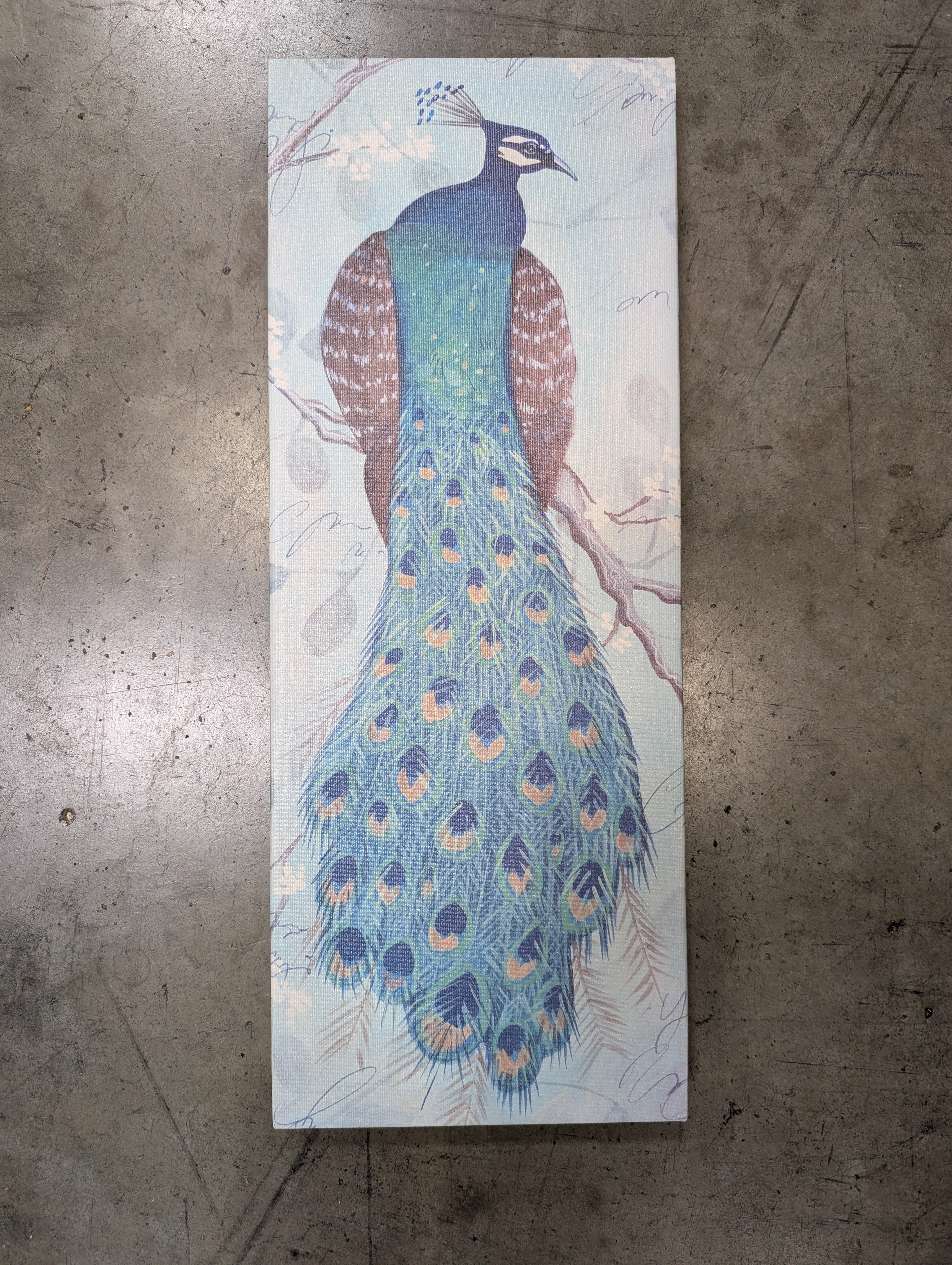 Vibrant Peacock Feather Wall Art Print