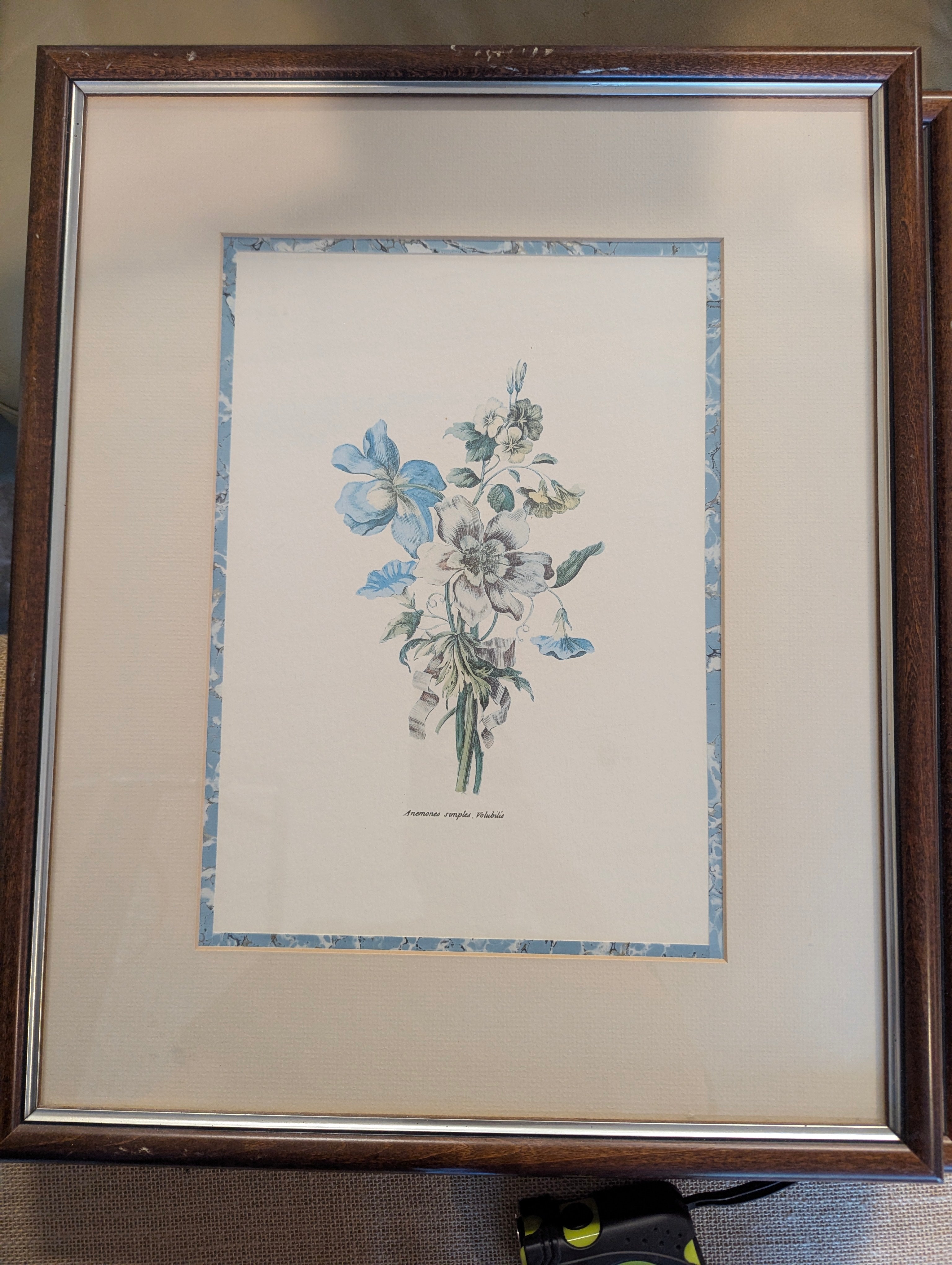 Pair of Framed Botanical Blue Flower Prints