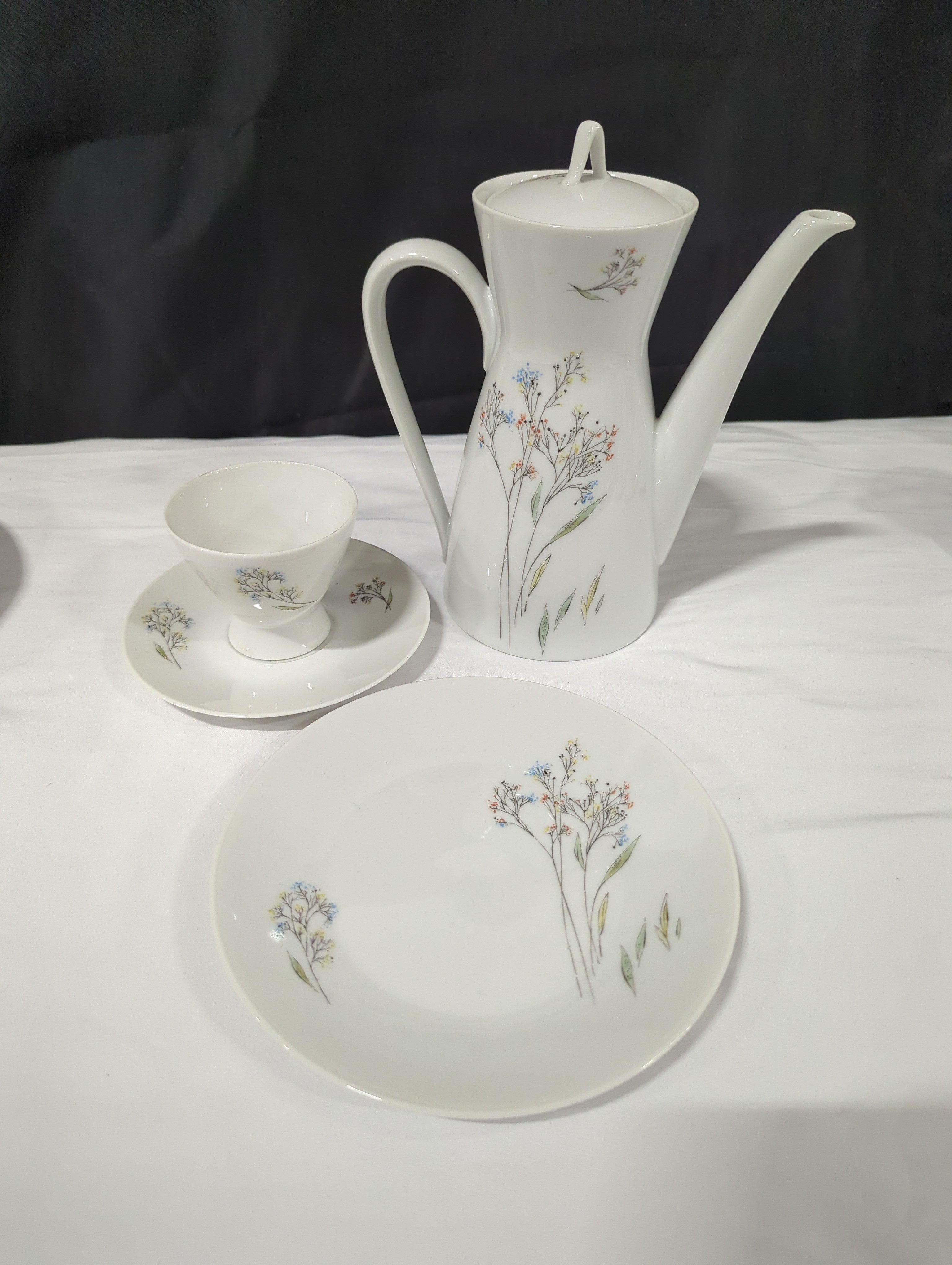 Rosenthal Germany Floral Porcelain Coffee Tea Dinnerware Set