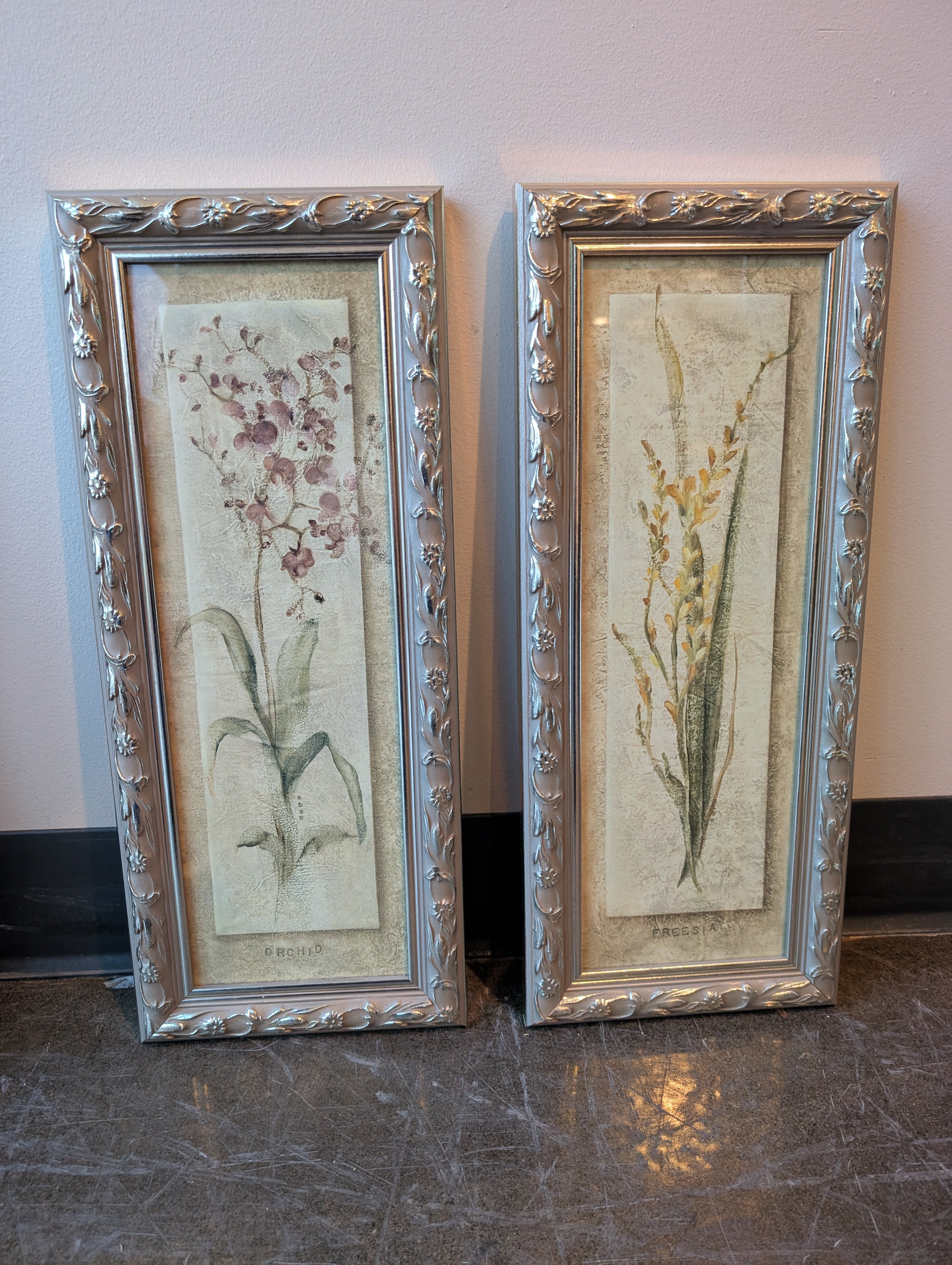 Decorative Botanical Framed Art Prints with Ornate Frames