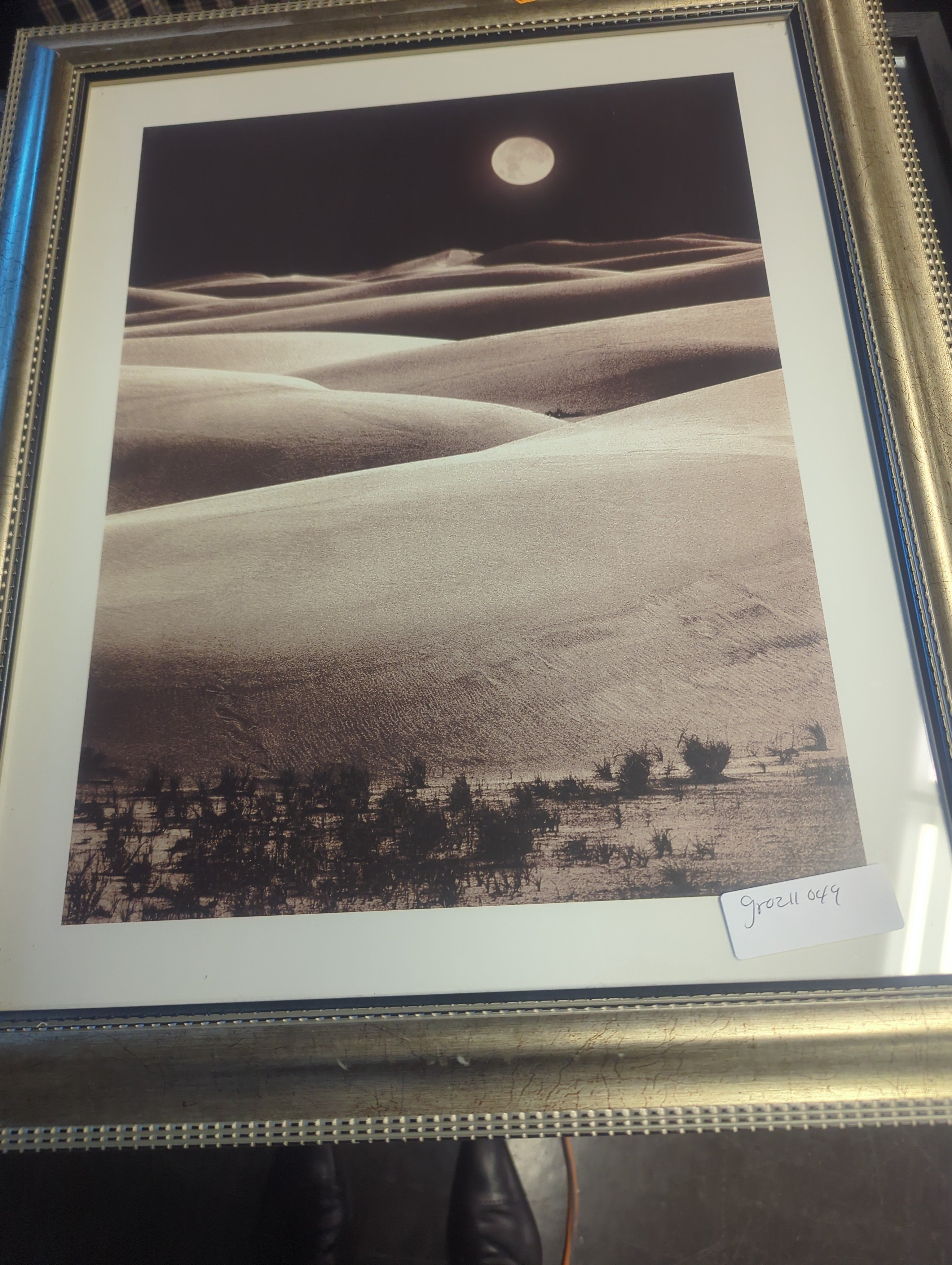 Sahara at night