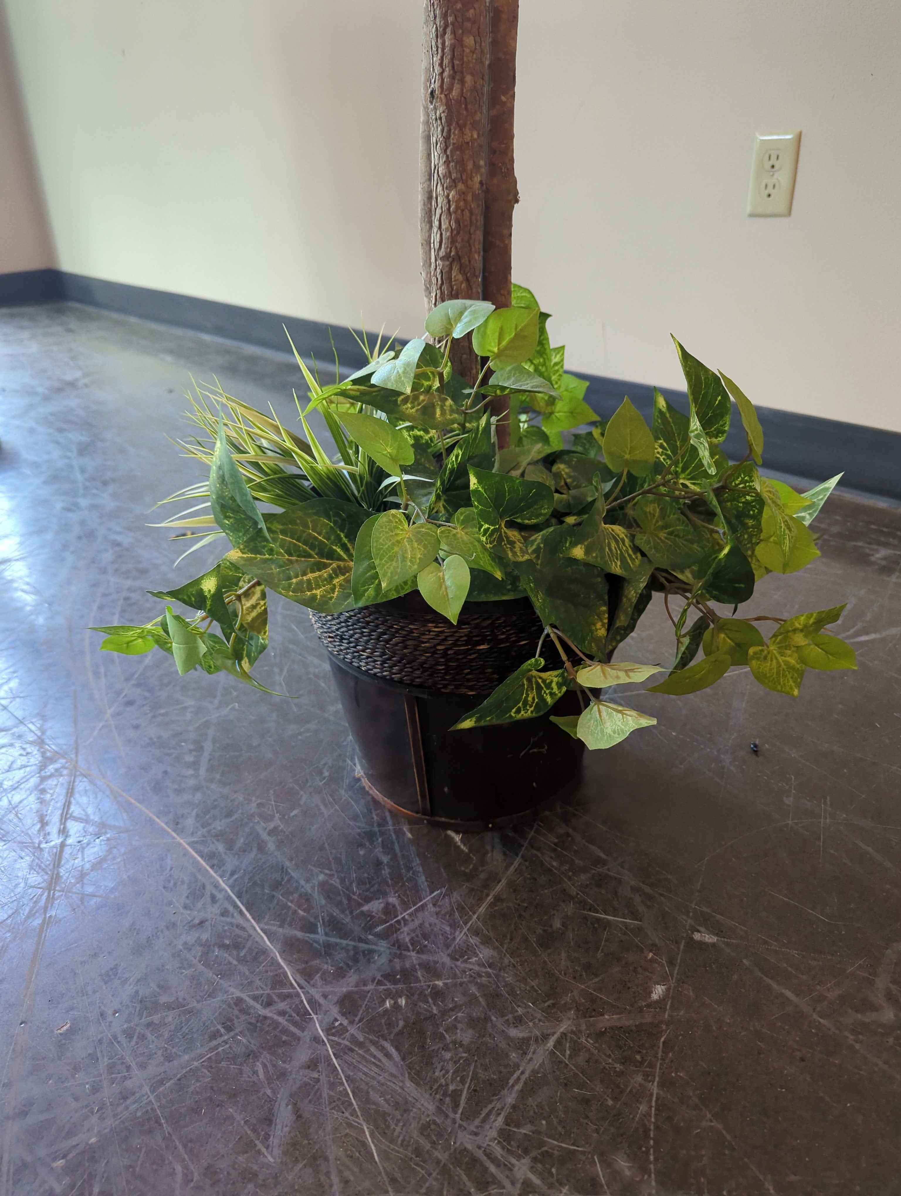 Artificial Ficus Tall Floor Plant
