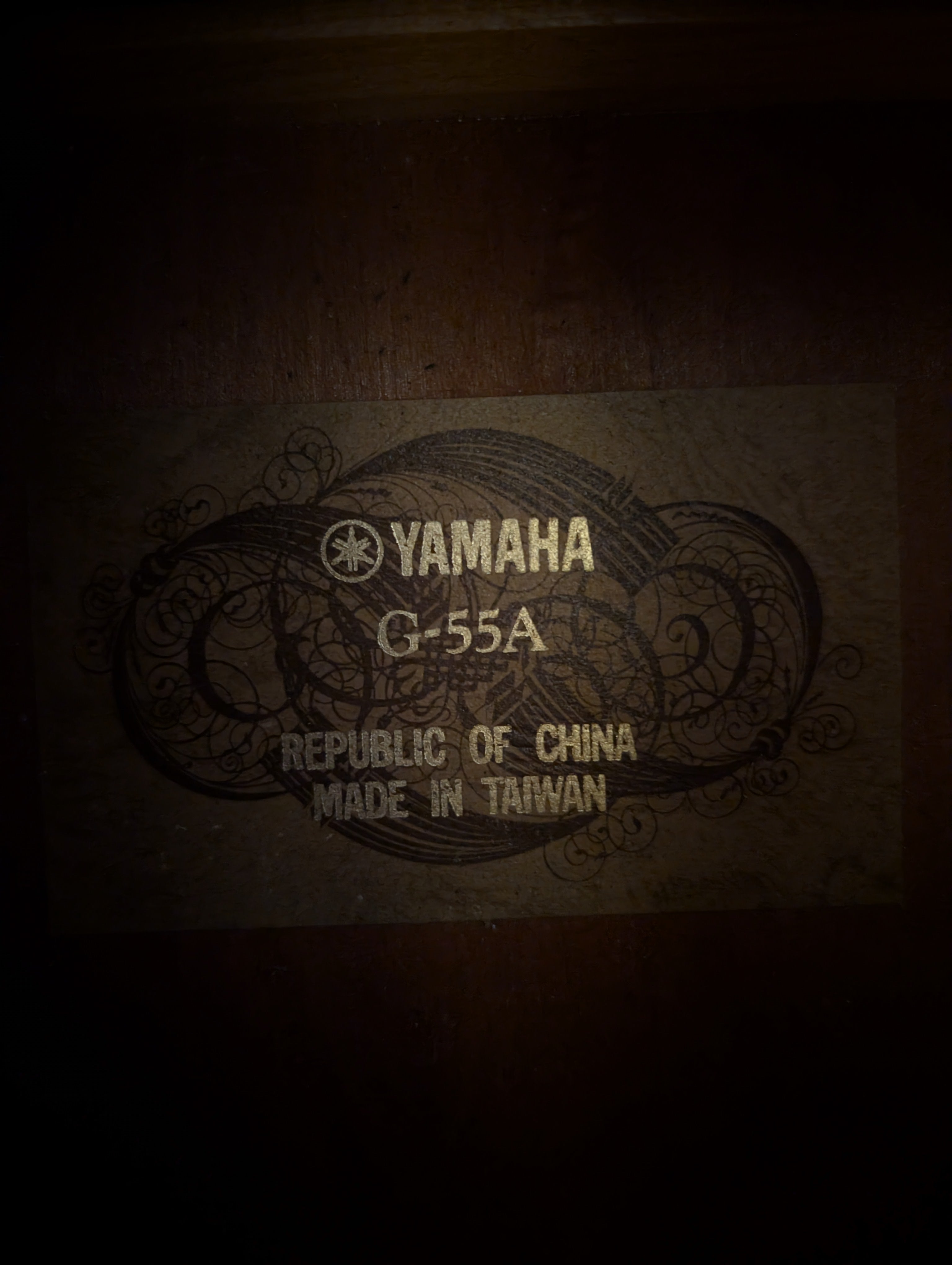 Full-Size Acoustic Guitar with Protective Hard Case