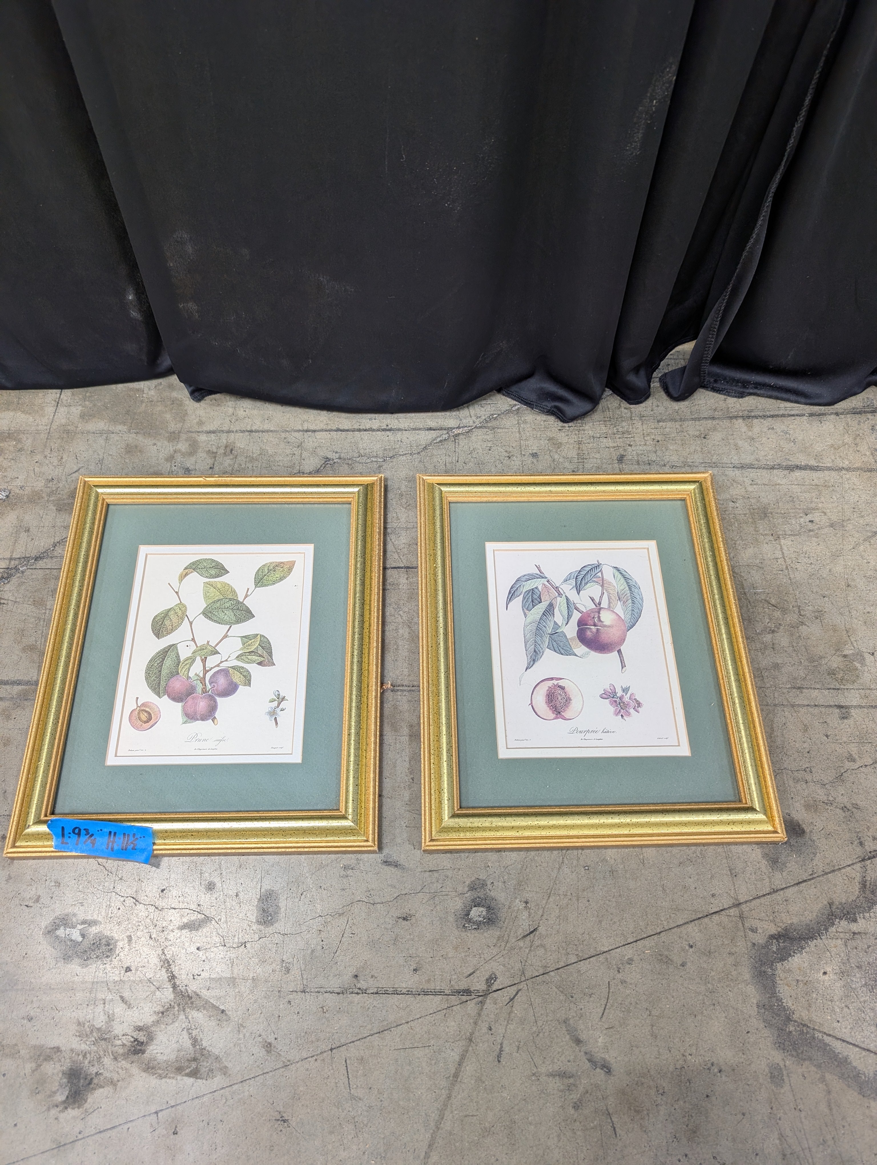 Set of two Vintage Gold Framed Botanical Print with Matting