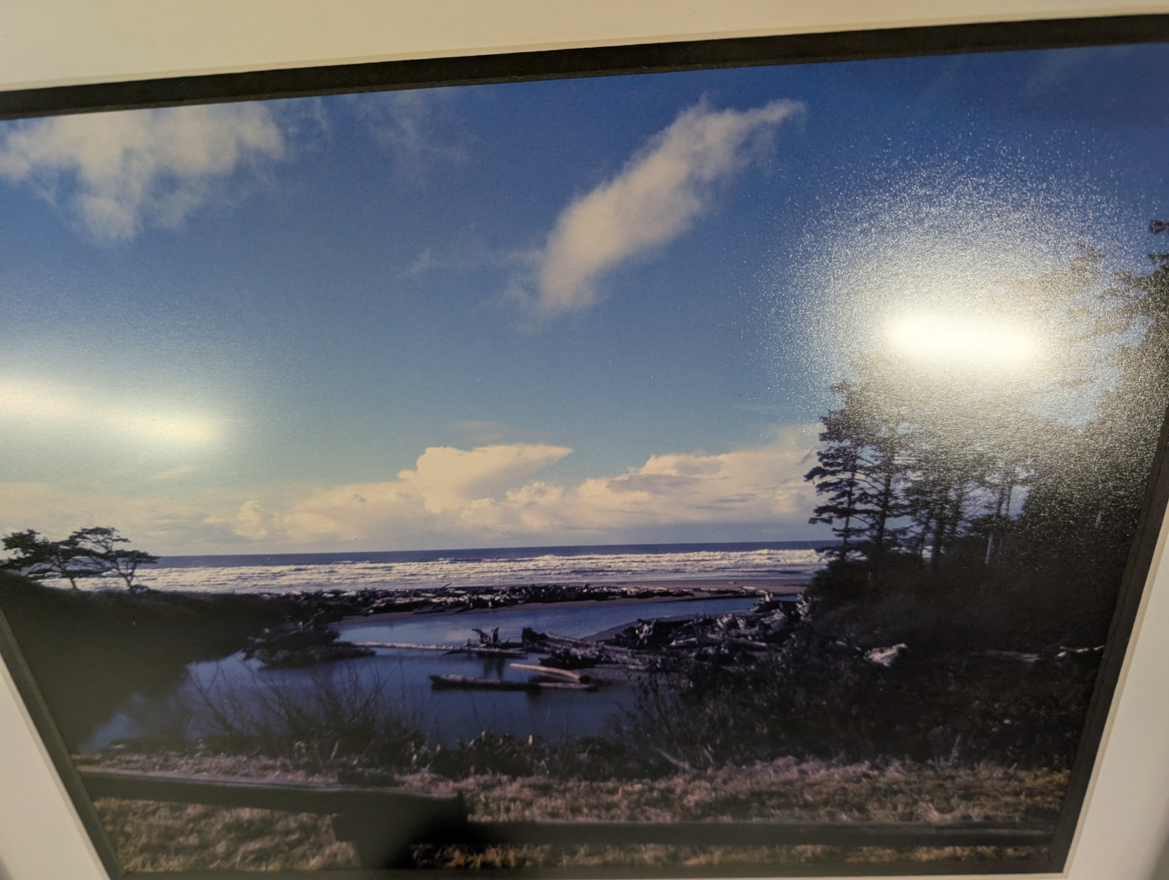 Sleek Black Picture Framed Beach Photo