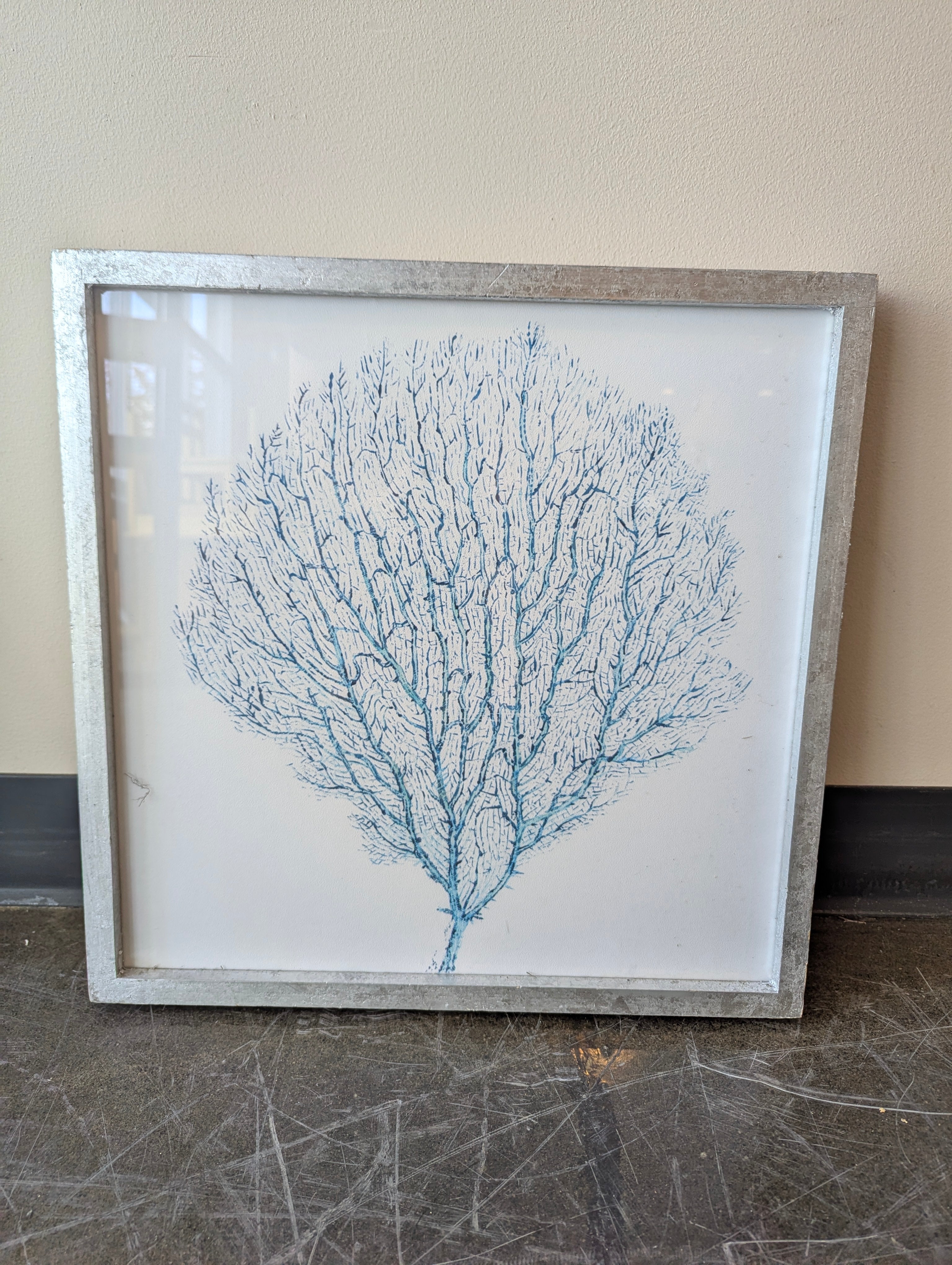 Framed Coral Print