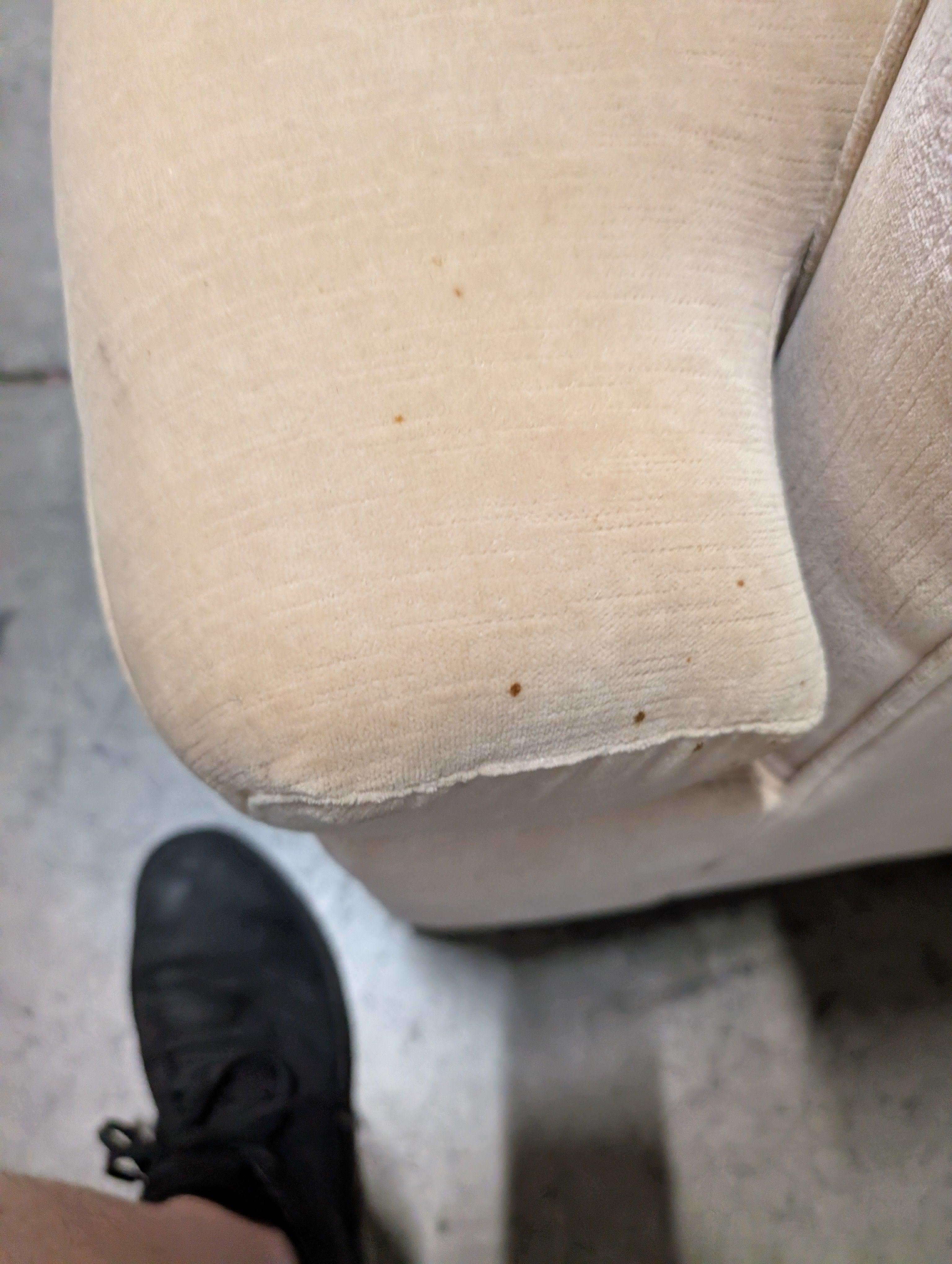 Neutral Fabric Upholstered Sofa with Rolled Arms