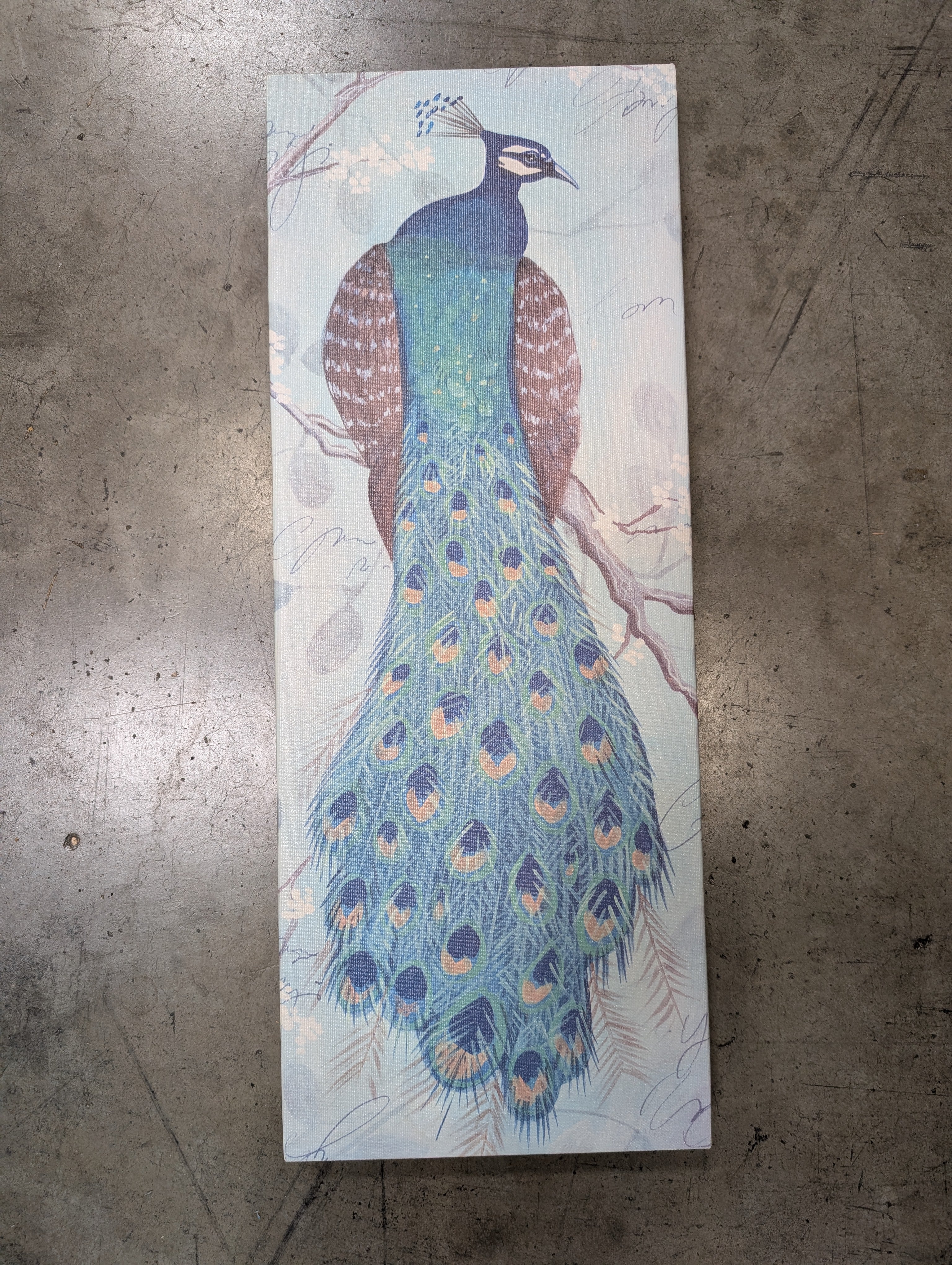Vibrant Peacock Feather Wall Art Print