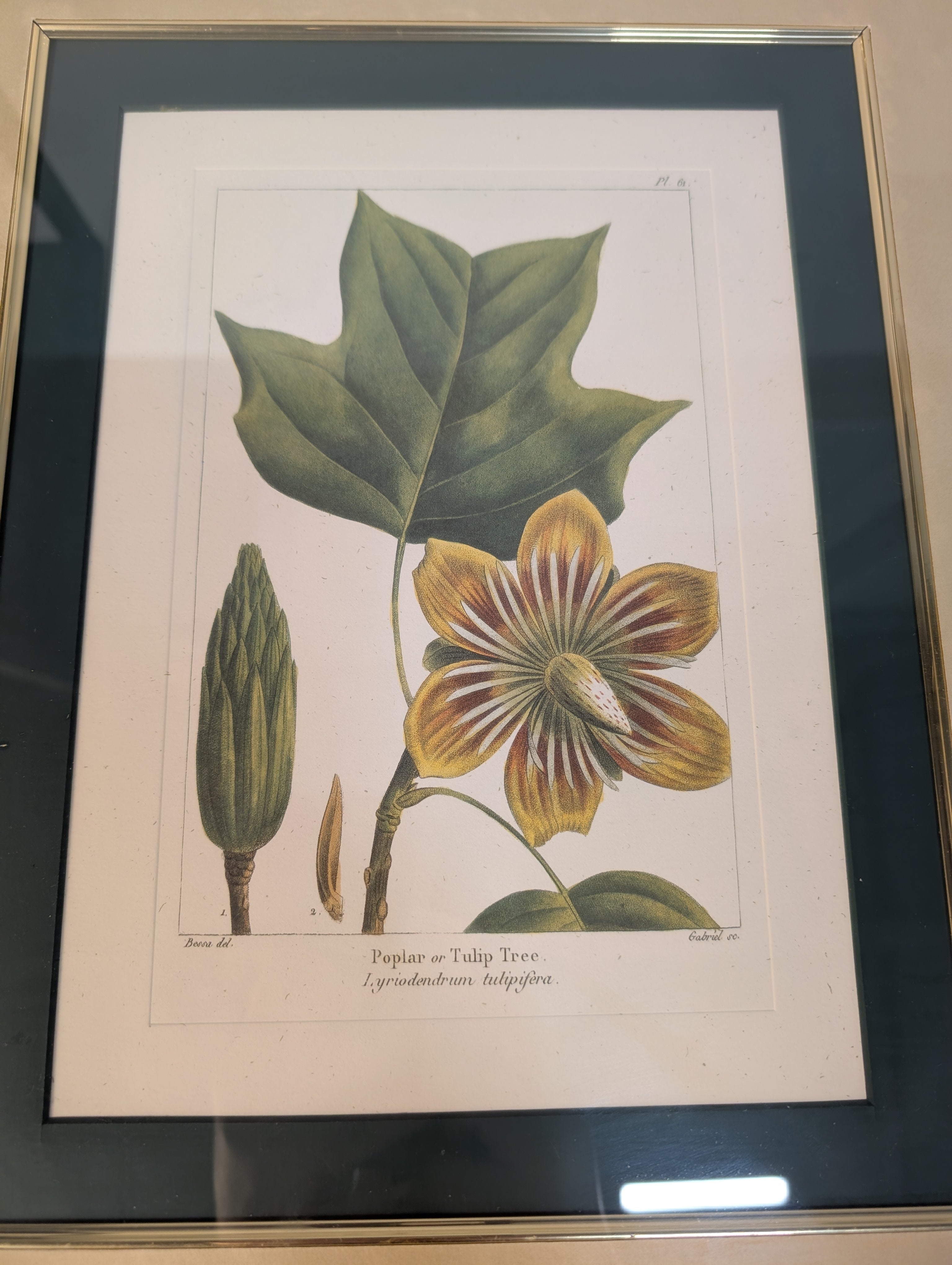 BOMBAY Ornate Gold Framed Botanical Floral Wall Art